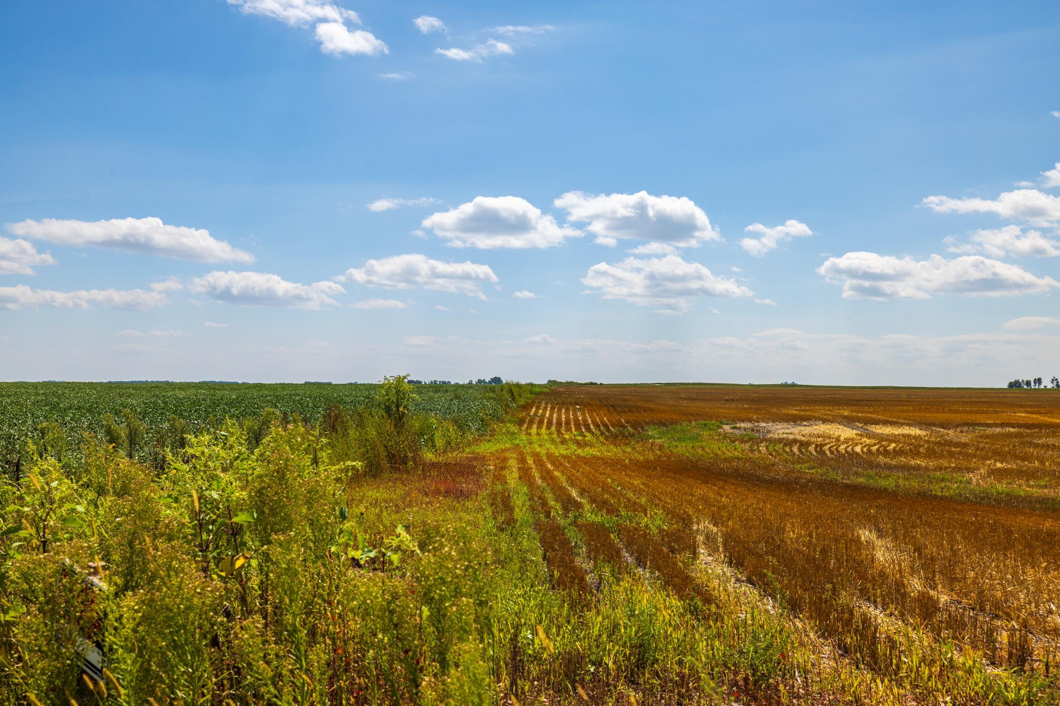 land for sale at TBD 15 Ave NE Lot 4 in Berwick, ND (photo 18 of 23)