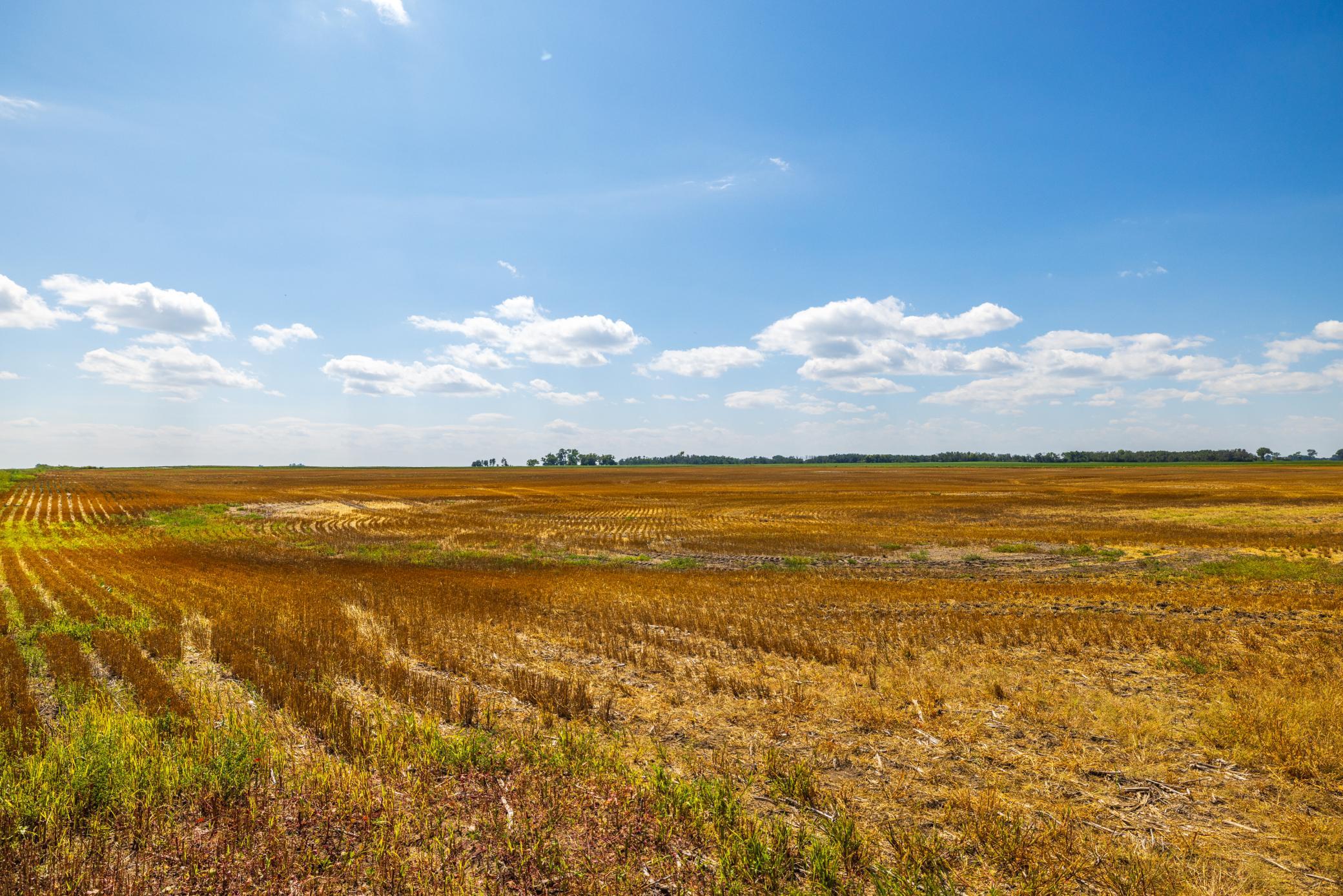 land for sale at TBD 15 Ave NE Lot 4 in Berwick, ND (photo 19 of 23)