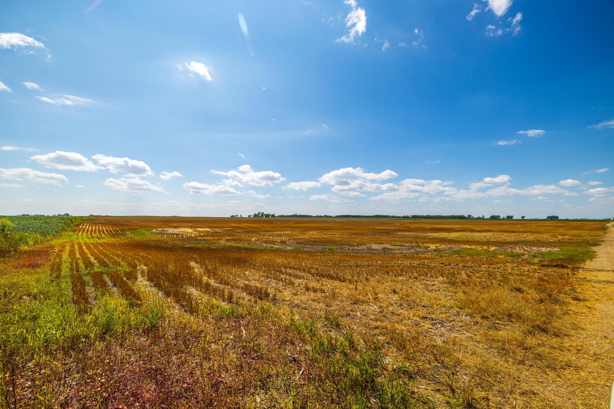 land for sale at TBD 15 Ave NE Lot 4 in Berwick, ND (photo 20 of 23)