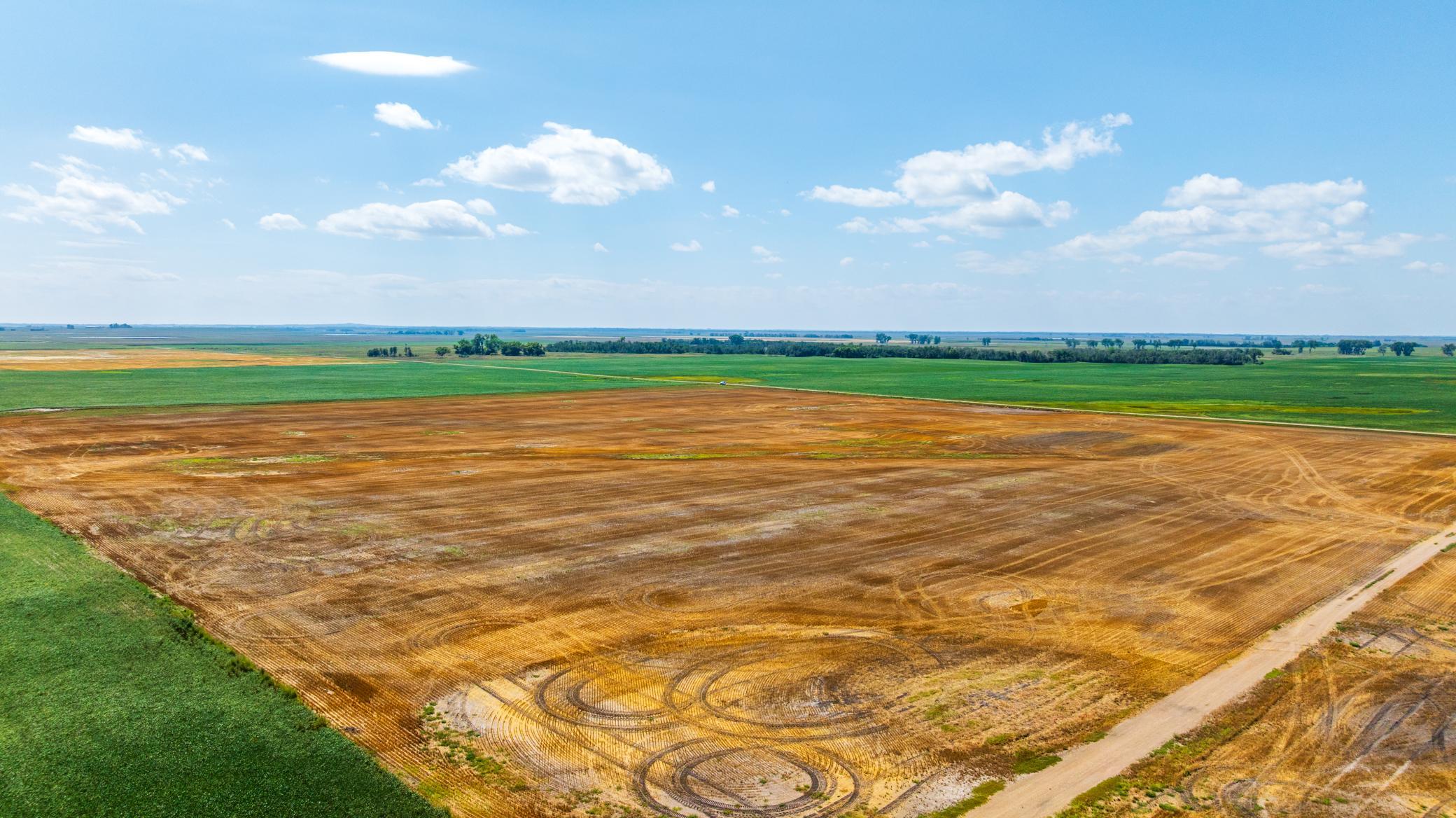 land for sale at TBD 15 Ave NE Lot 4 in Berwick, ND (photo 3 of 23)