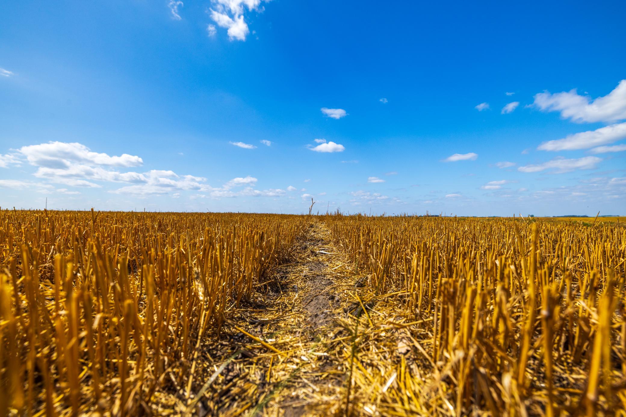 land for sale at TBD 15 Ave NE Lot 4 in Berwick, ND (photo 21 of 23)