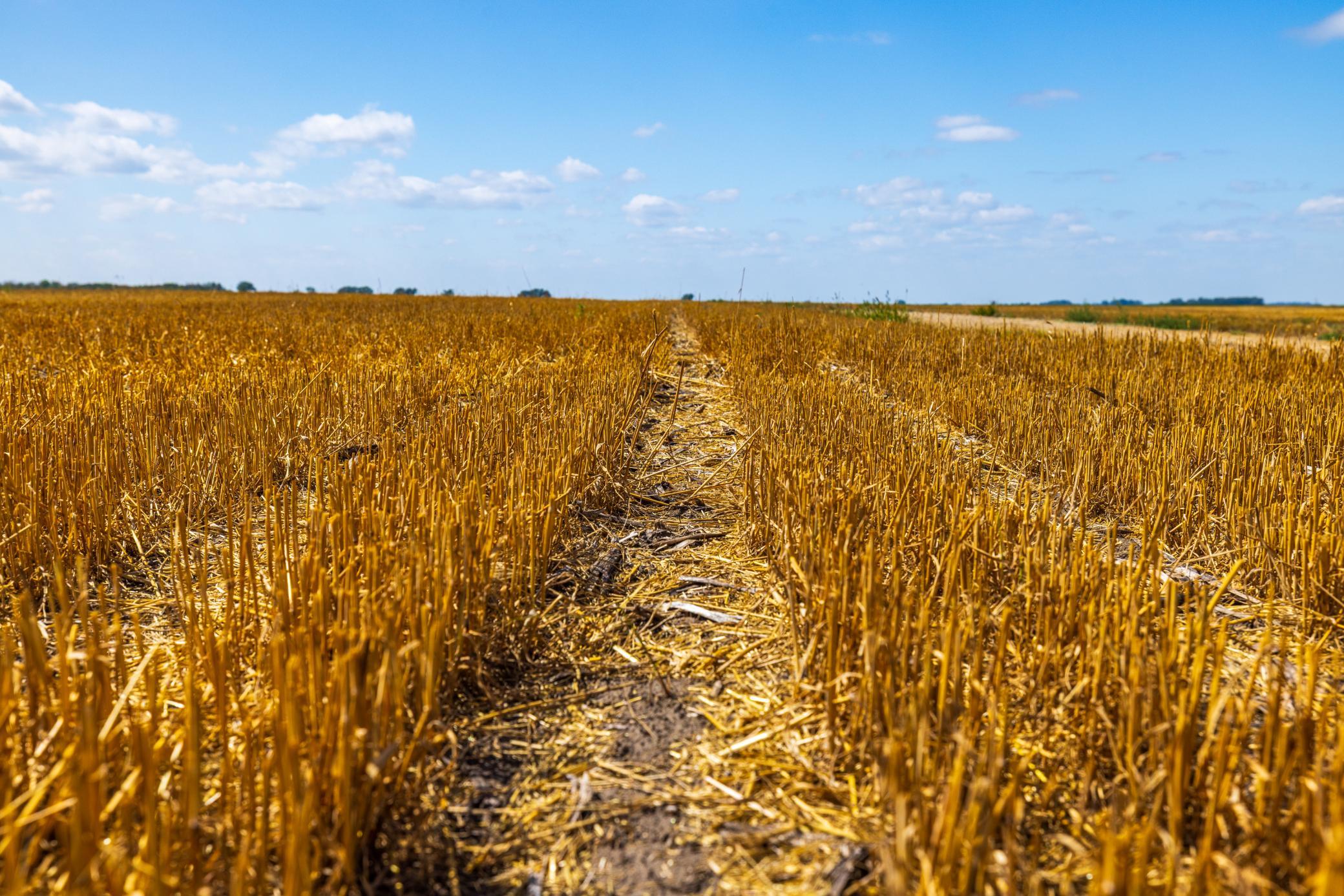 land for sale at TBD 15 Ave NE Lot 4 in Berwick, ND (photo 22 of 23)