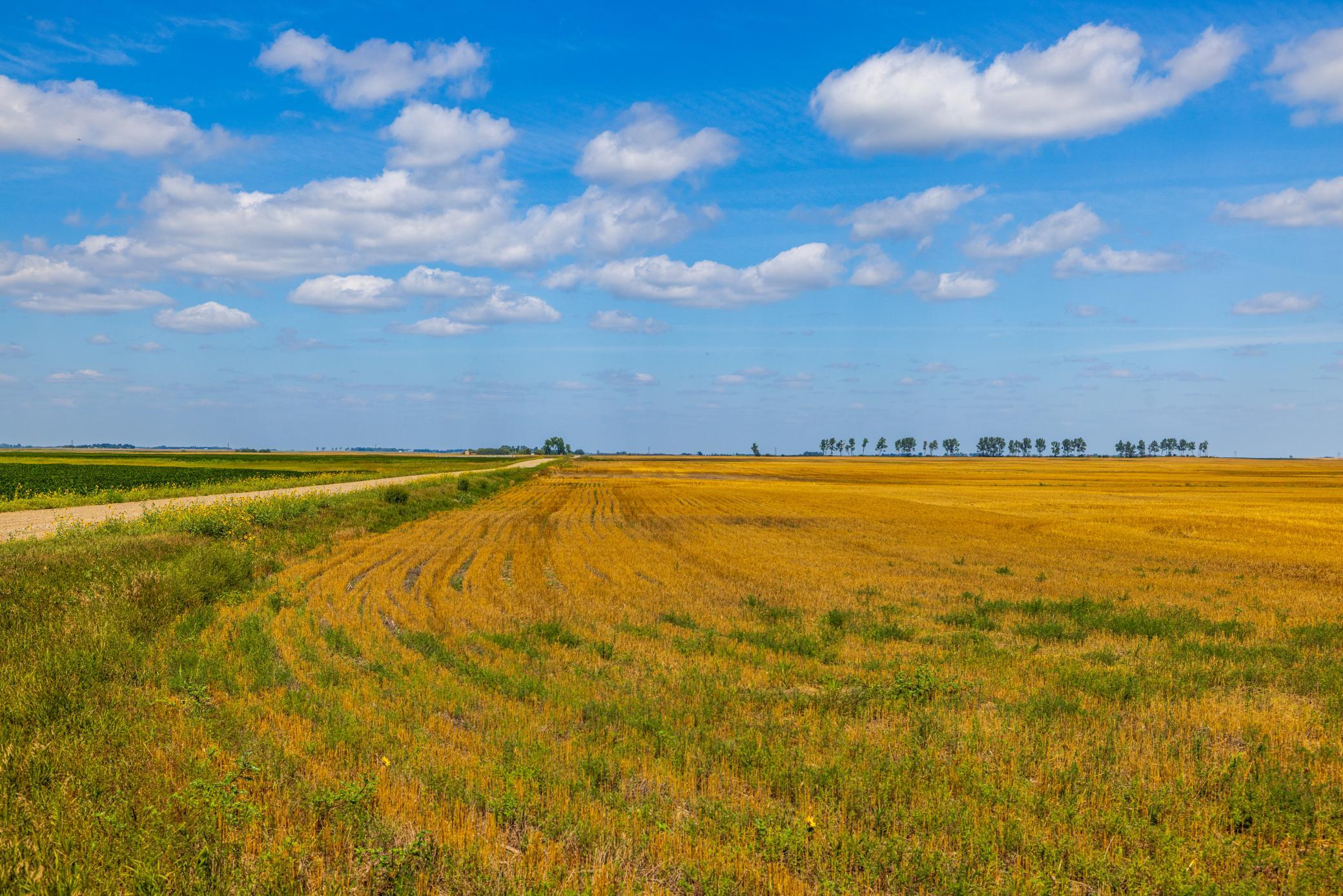 land for sale at TBD 15 Ave NE Lot 4 in Berwick, ND (photo 4 of 23)