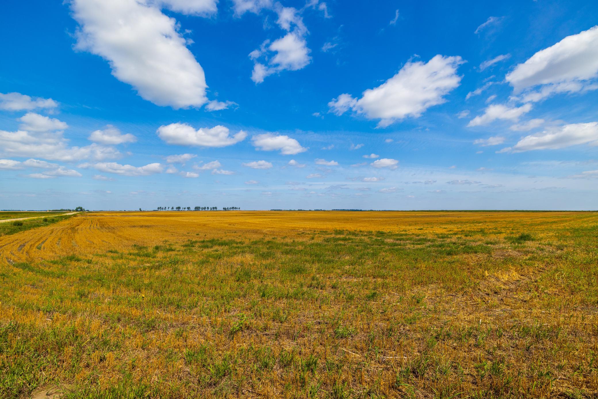 land for sale at TBD 15 Ave NE Lot 4 in Berwick, ND (photo 5 of 23)
