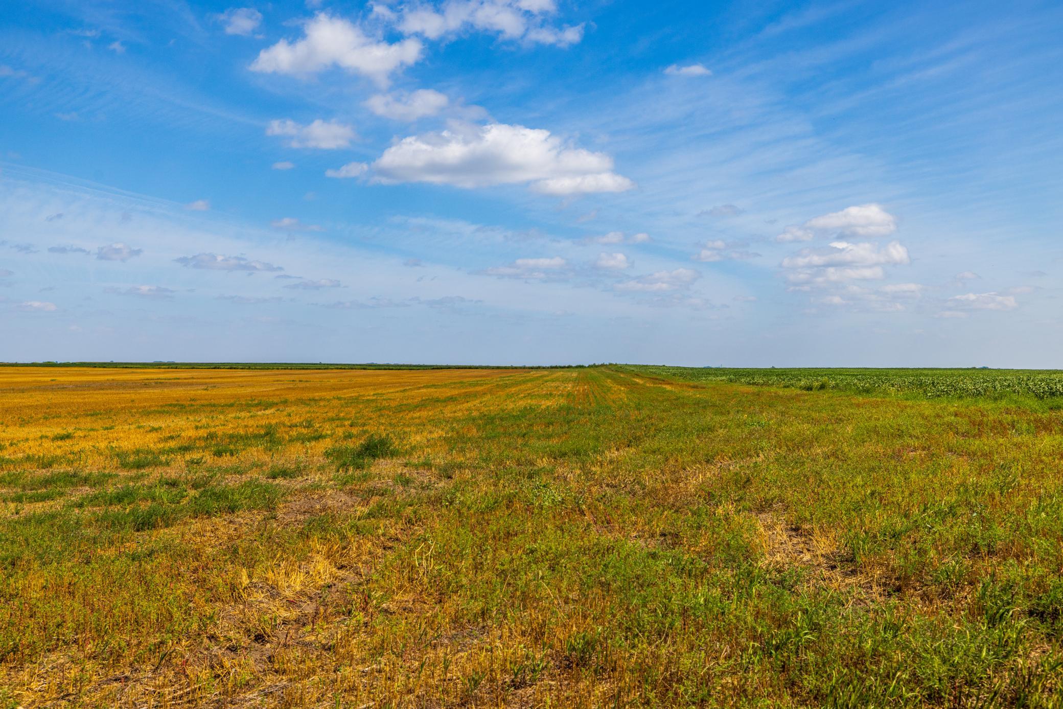 land for sale at TBD 15 Ave NE Lot 4 in Berwick, ND (photo 6 of 23)