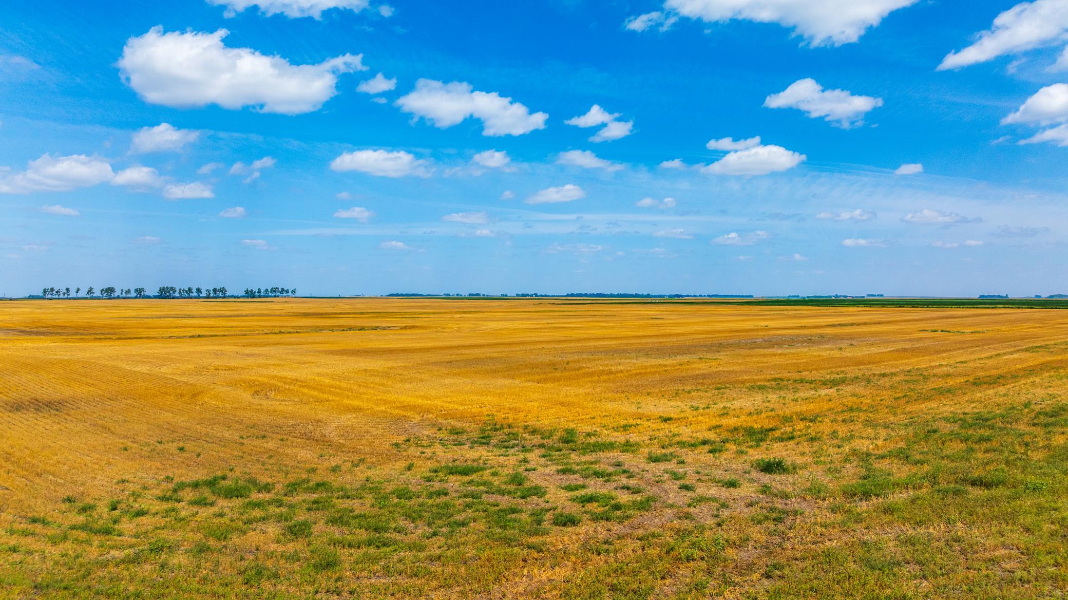 land for sale at TBD 15 Ave NE Lot 4 in Berwick, ND (photo 8 of 23)