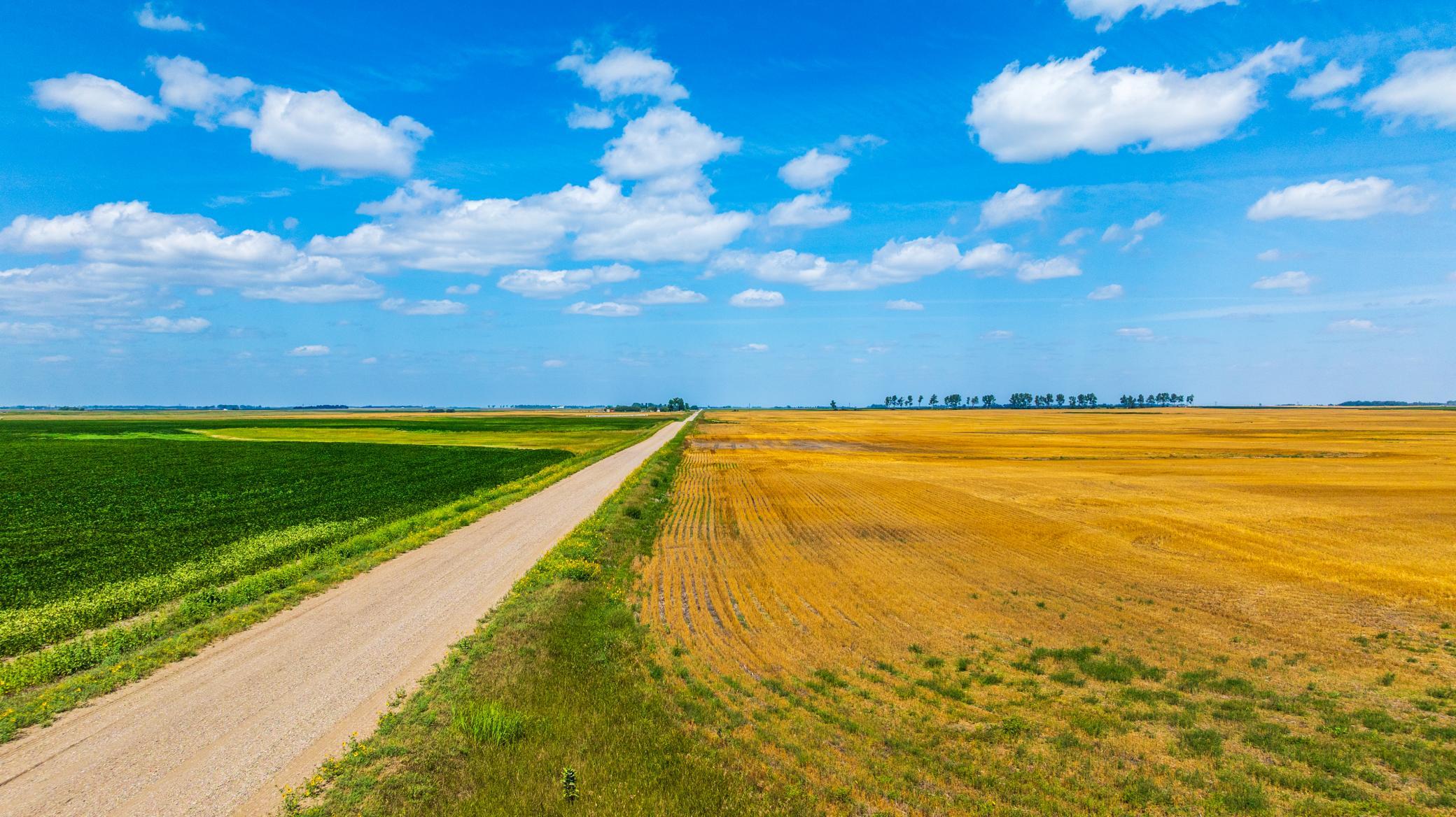 land for sale at TBD 15 Ave NE Lot 4 in Berwick, ND (photo 9 of 23)