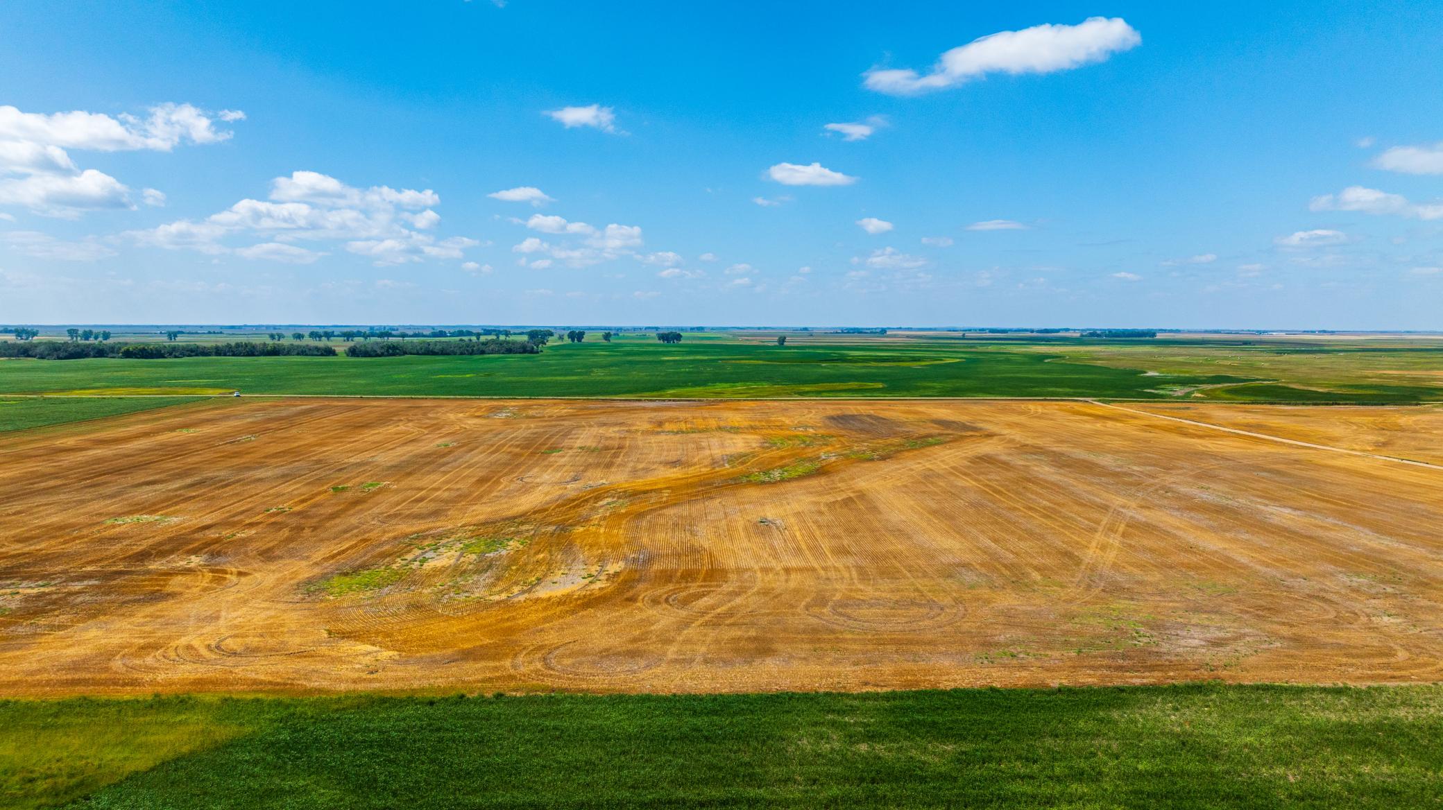land for sale at TBD 15 Ave NE Lot 4 in Berwick, ND (photo 10 of 23)