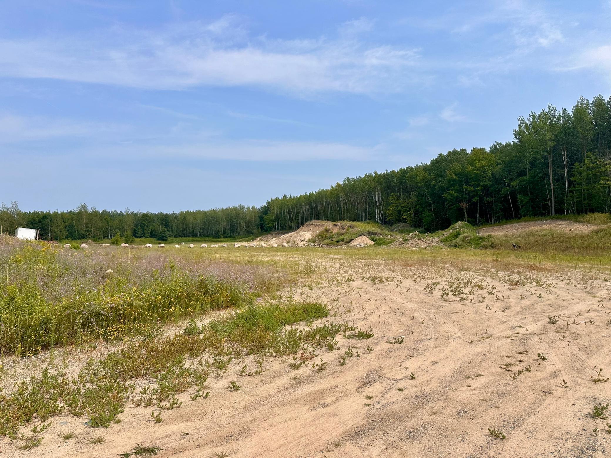 land for sale at TBD-Lot 8 E Ottertail Road NW in Walker, MN (photo 3 of 6)