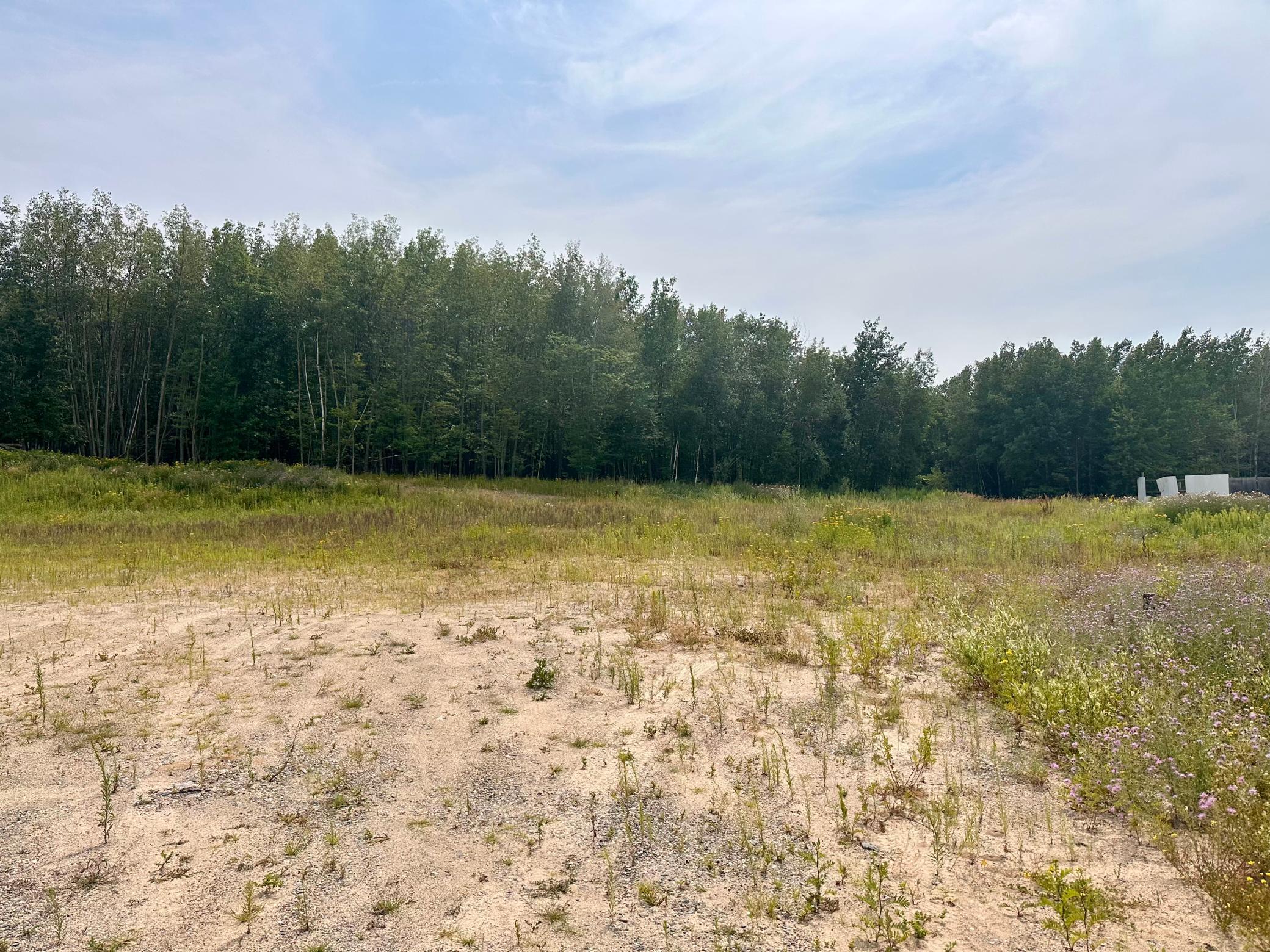 land for sale at TBD-Lot 8 E Ottertail Road NW in Walker, MN (photo 4 of 6)