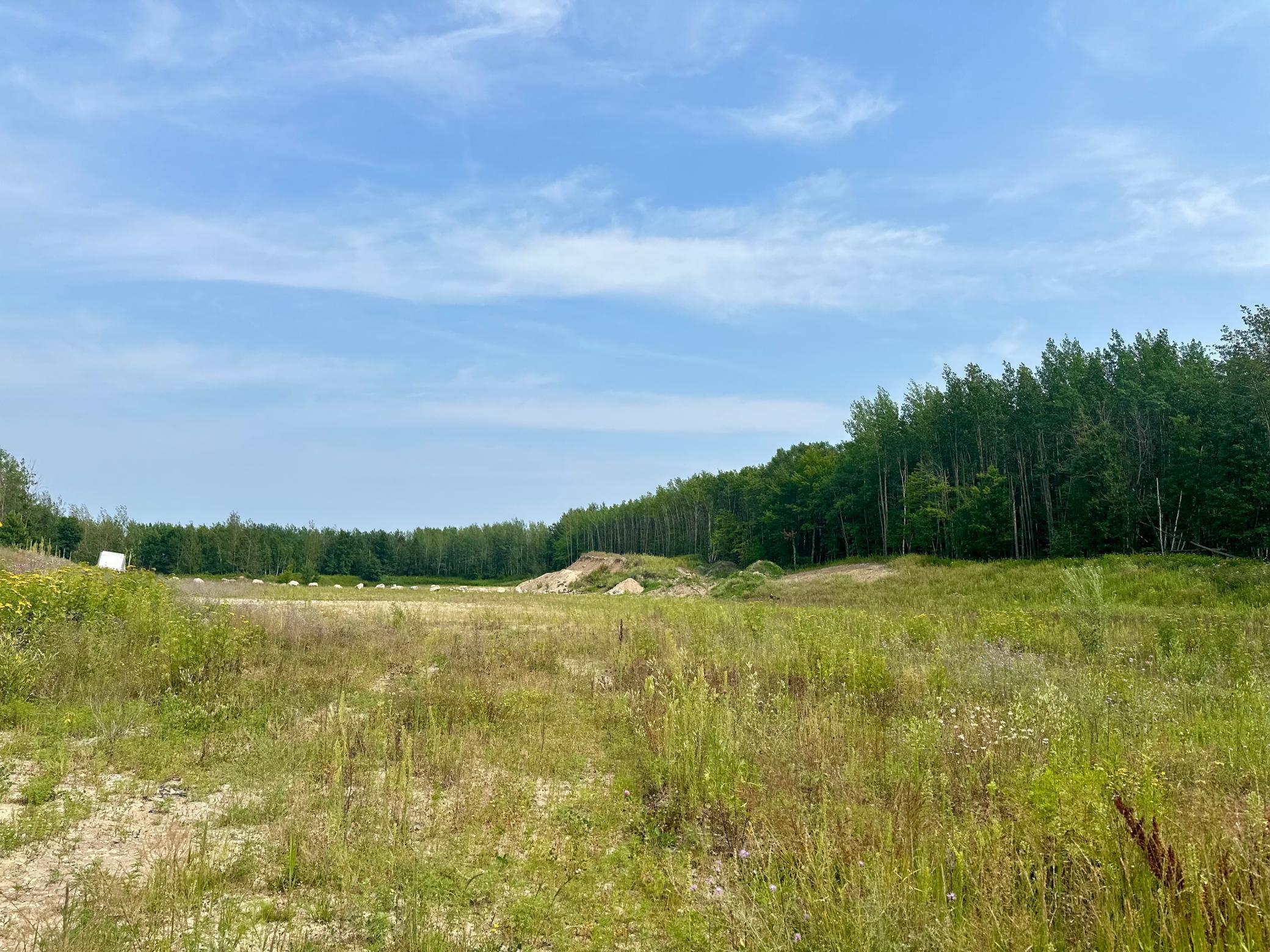 land for sale at TBD-Lot 8 E Ottertail Road NW in Walker, MN (photo 6 of 6)