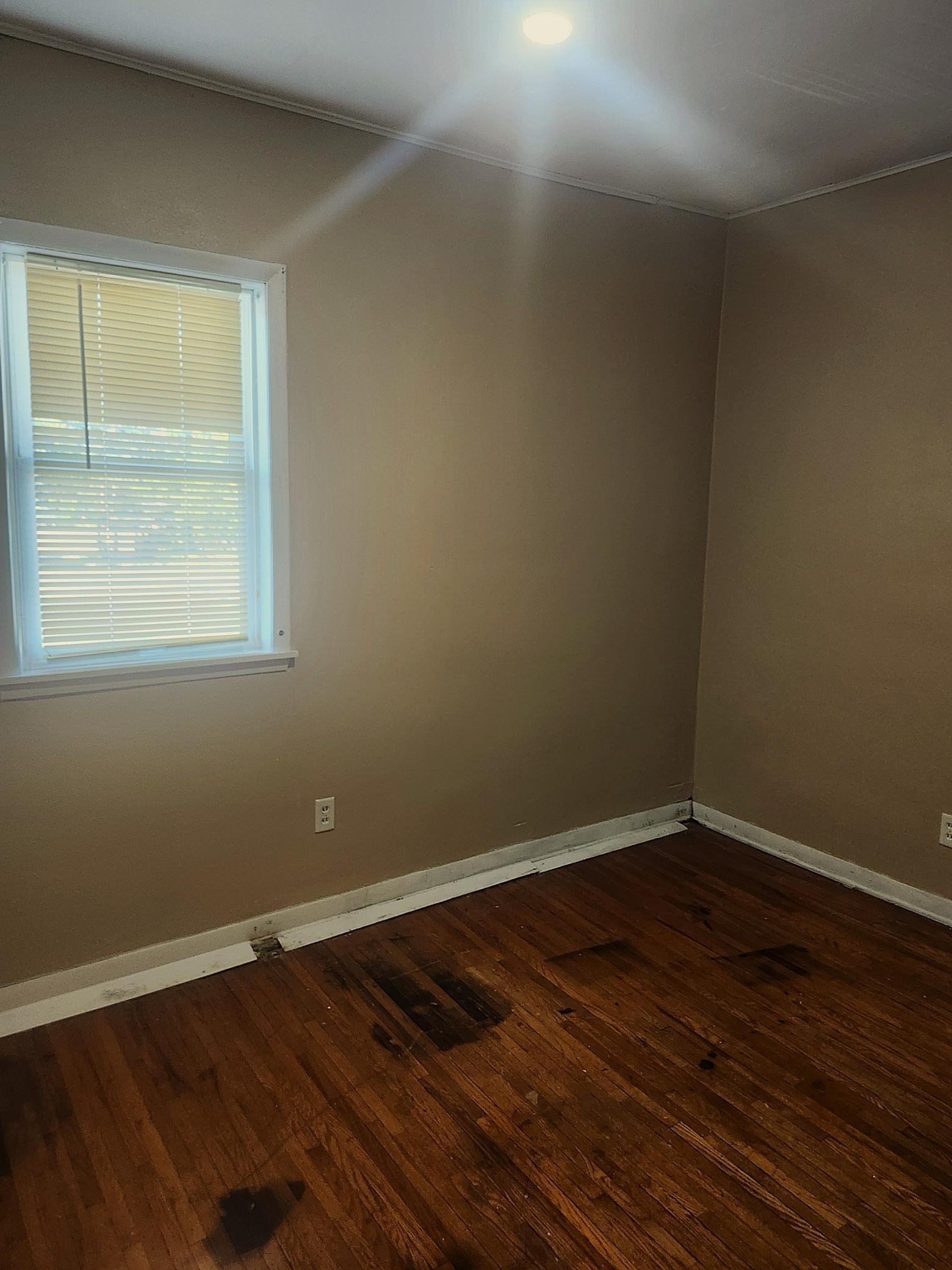 1885 triplex for sale at 46 W Main Street in Osakis, MN — 7 bed, 3 bath (photo 7 of 15)