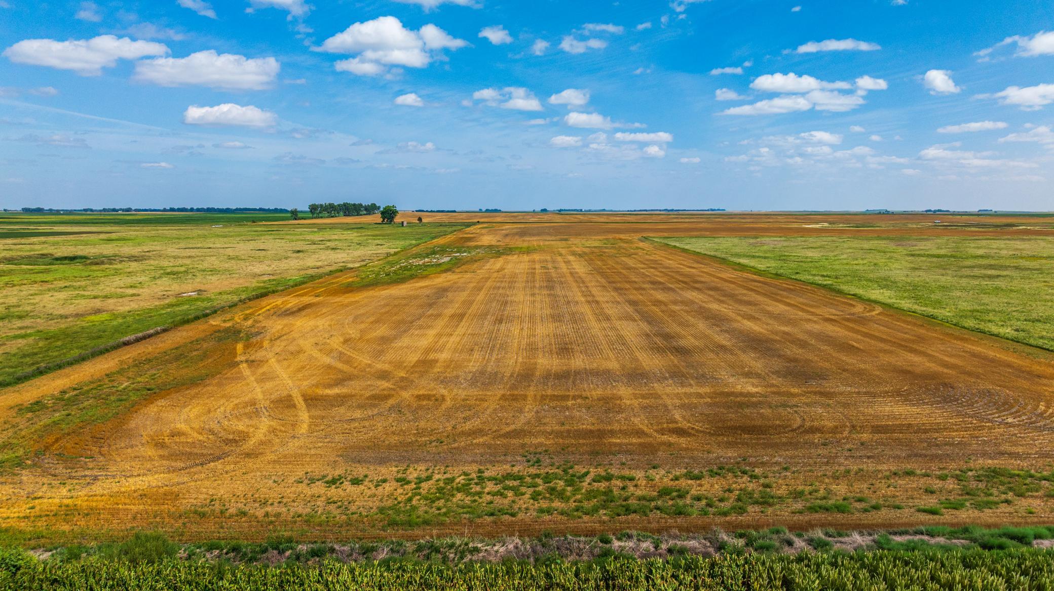 land for sale at TBD 15 Ave NE Lot 3 in Berwick, ND (photo 13 of 21)