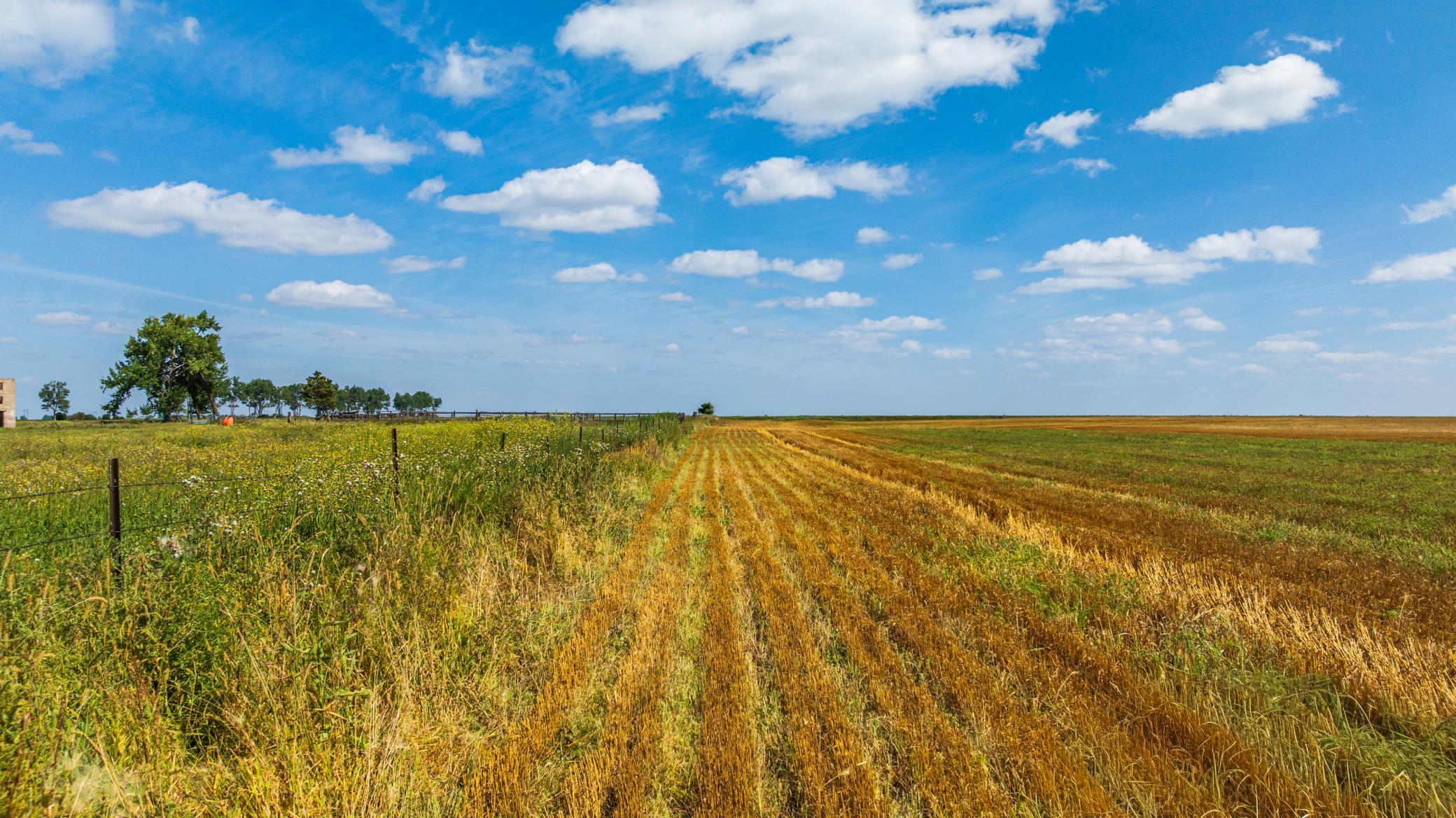 land for sale at TBD 15 Ave NE Lot 3 in Berwick, ND (photo 16 of 21)