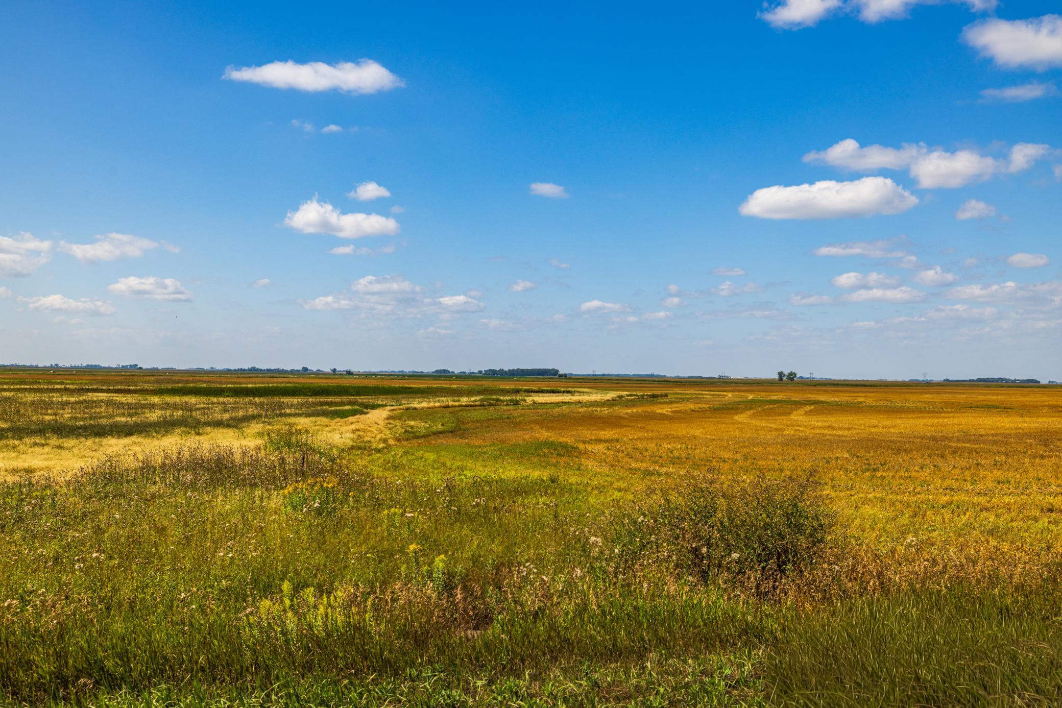 land for sale at TBD 15 Ave NE Lot 3 in Berwick, ND (photo 17 of 21)