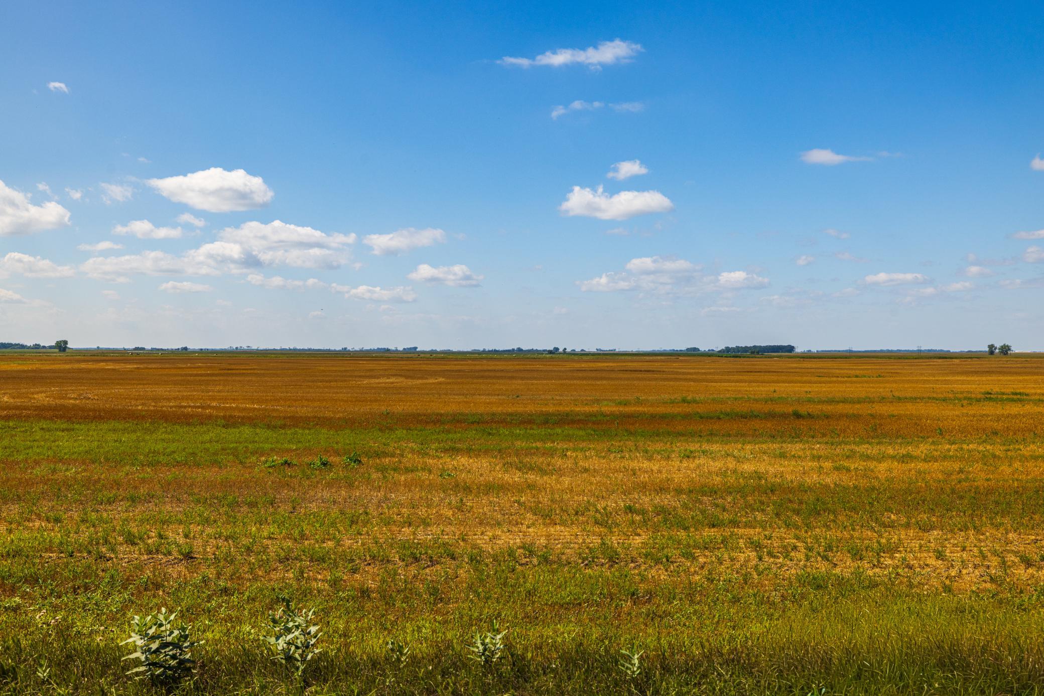 land for sale at TBD 15 Ave NE Lot 3 in Berwick, ND (photo 18 of 21)