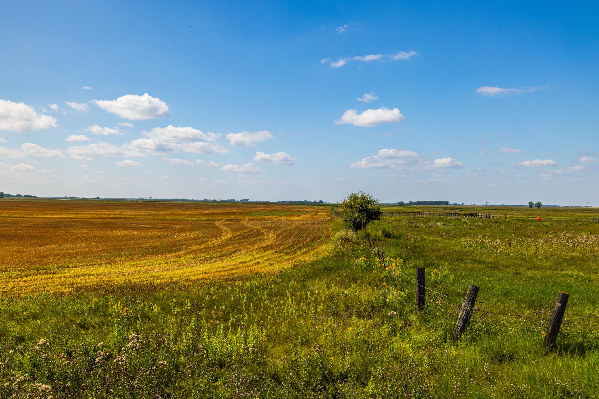 land for sale at TBD 15 Ave NE Lot 3 in Berwick, ND (photo 19 of 21)