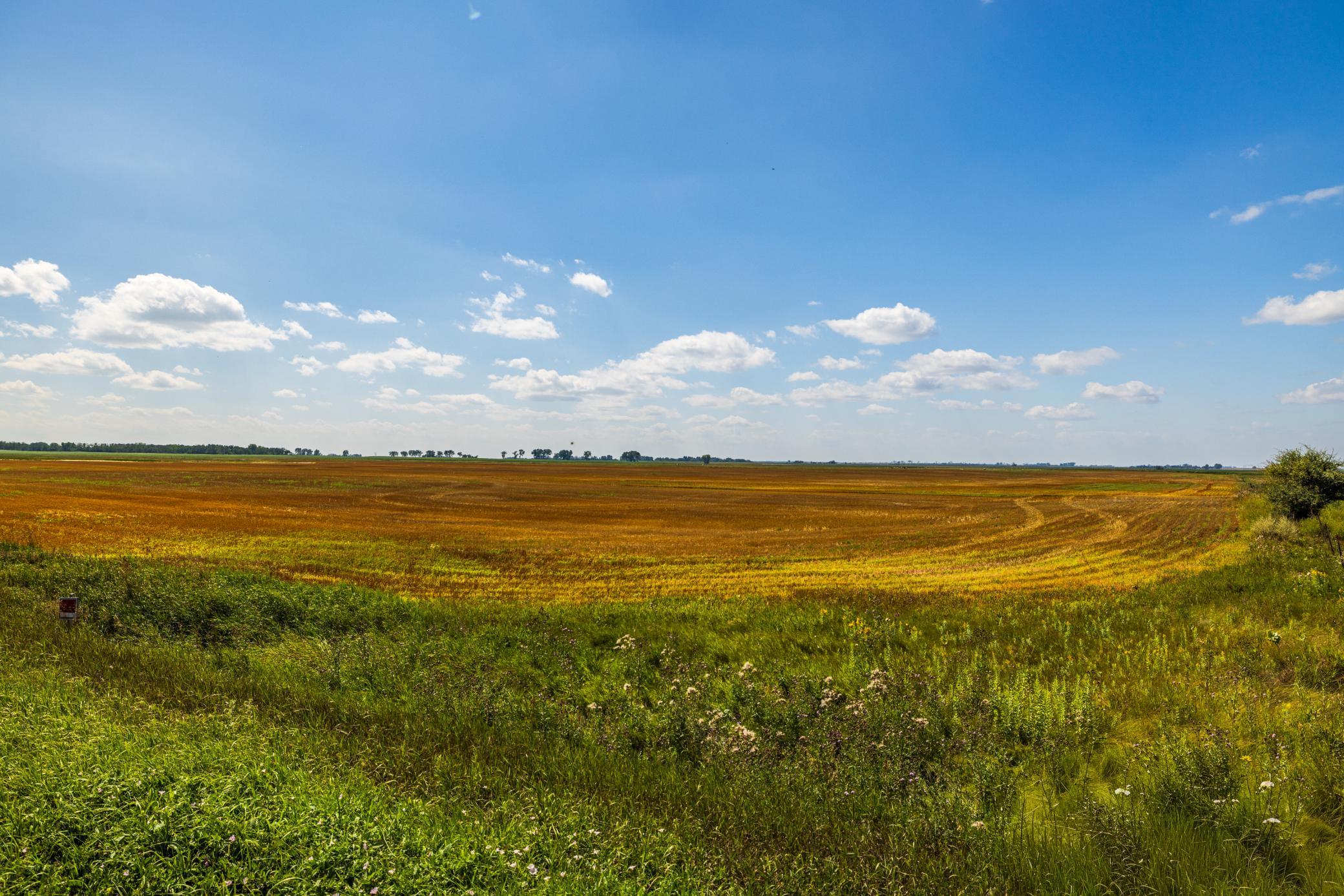 land for sale at TBD 15 Ave NE Lot 3 in Berwick, ND (photo 20 of 21)