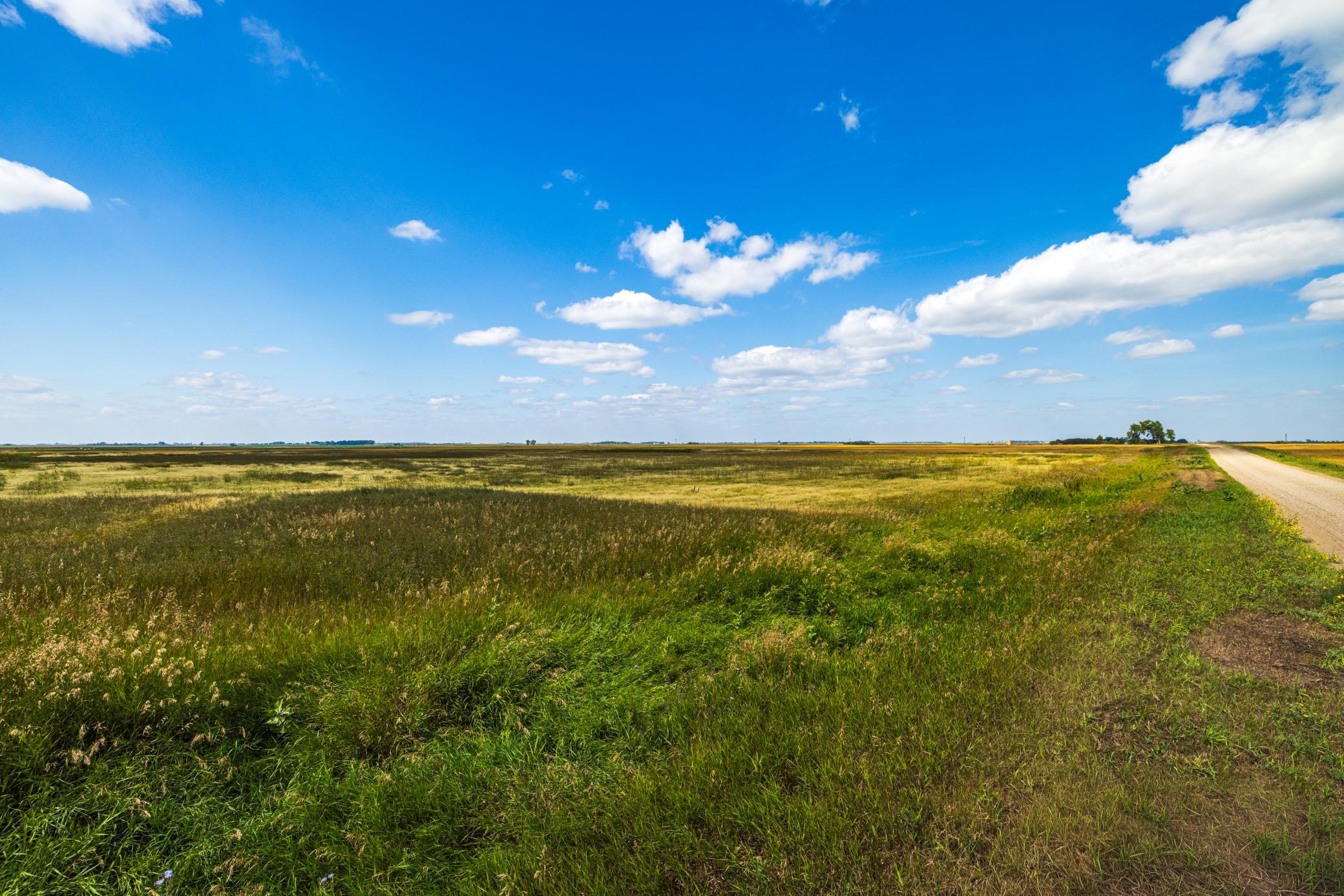 land for sale at TBD 15 Ave NE Lot 3 in Berwick, ND (photo 6 of 21)