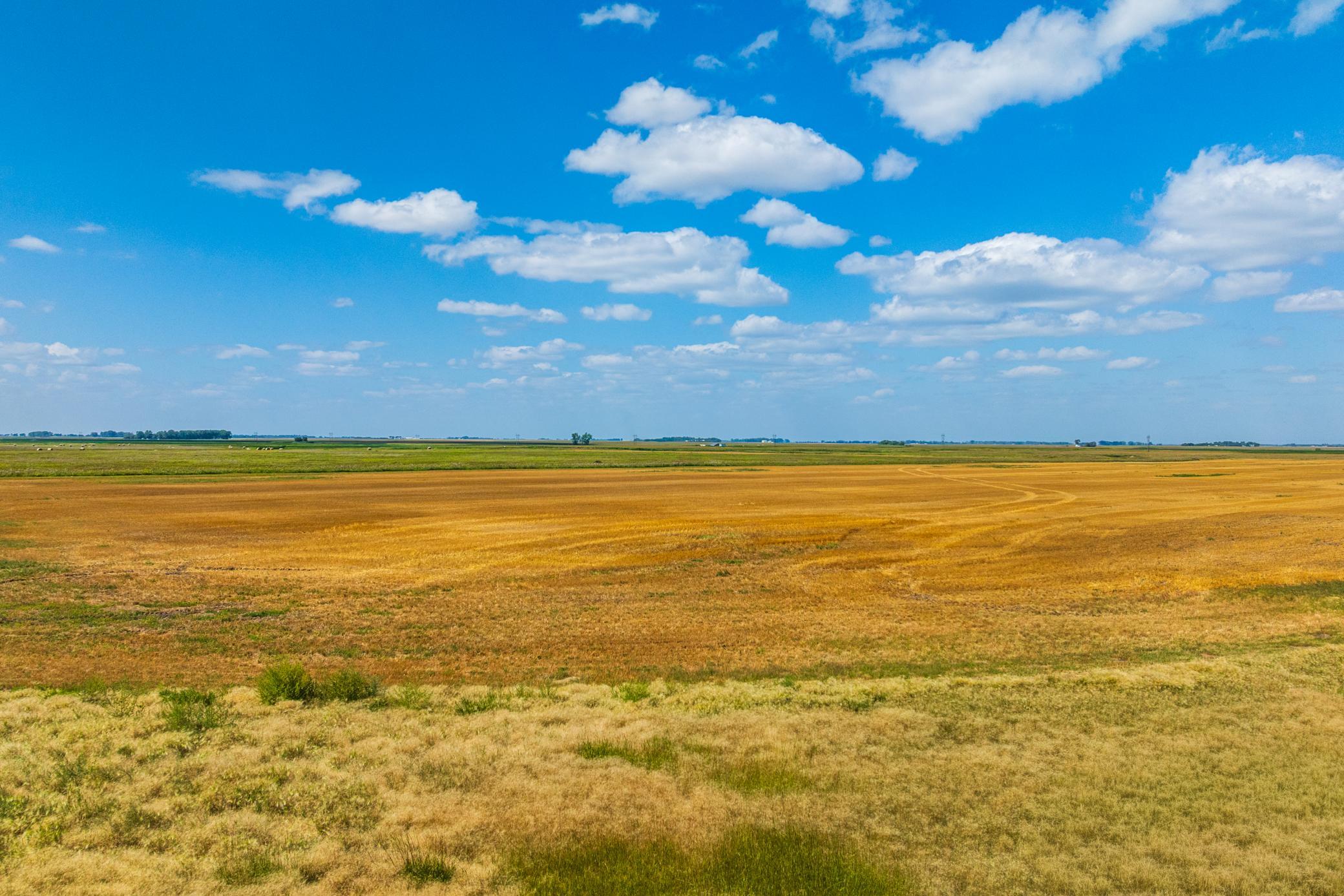 land for sale at TBD 15 Ave NE Lot 3 in Berwick, ND (photo 8 of 21)
