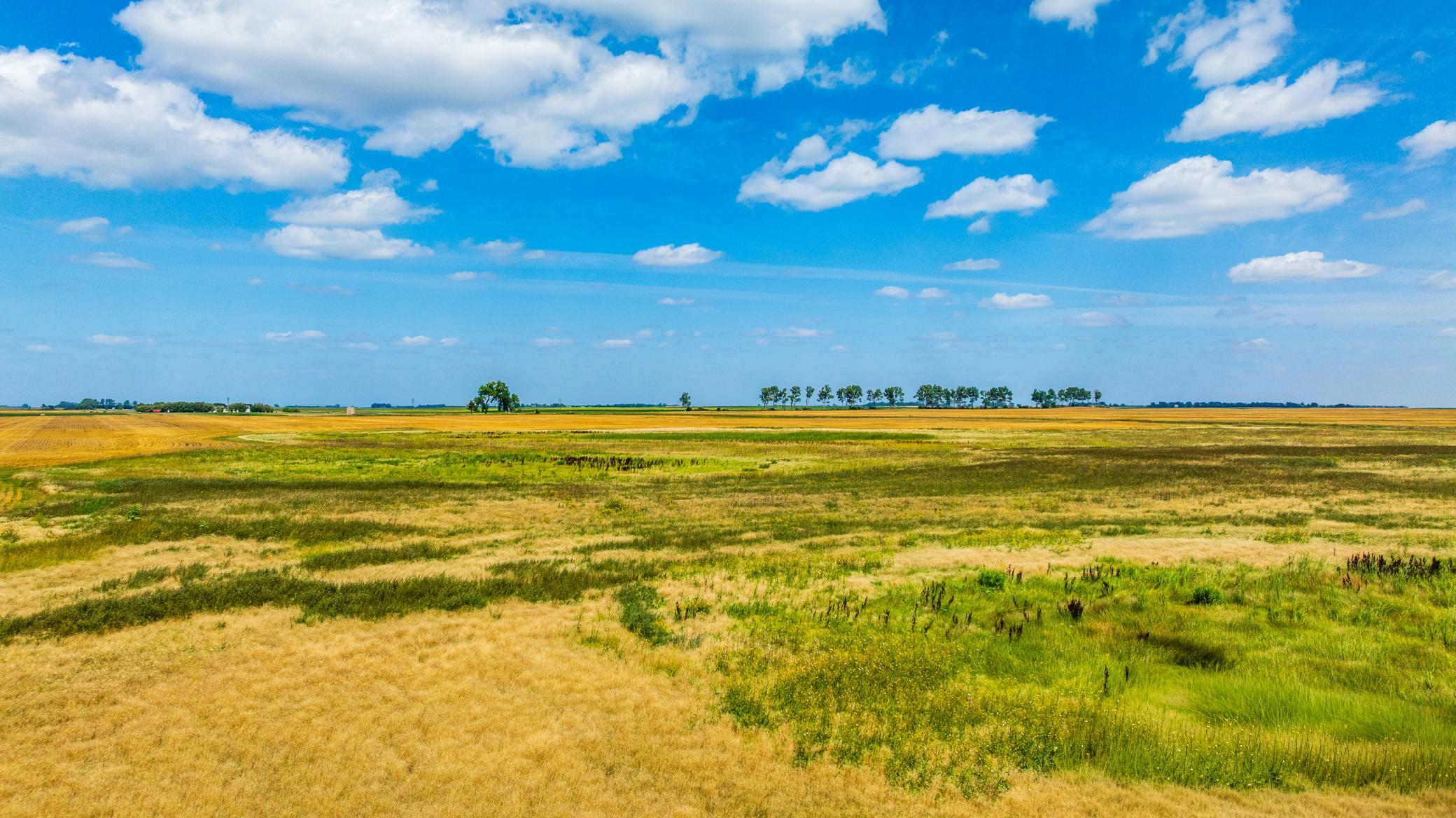 land for sale at TBD 15 Ave NE Lot 3 in Berwick, ND (photo 9 of 21)