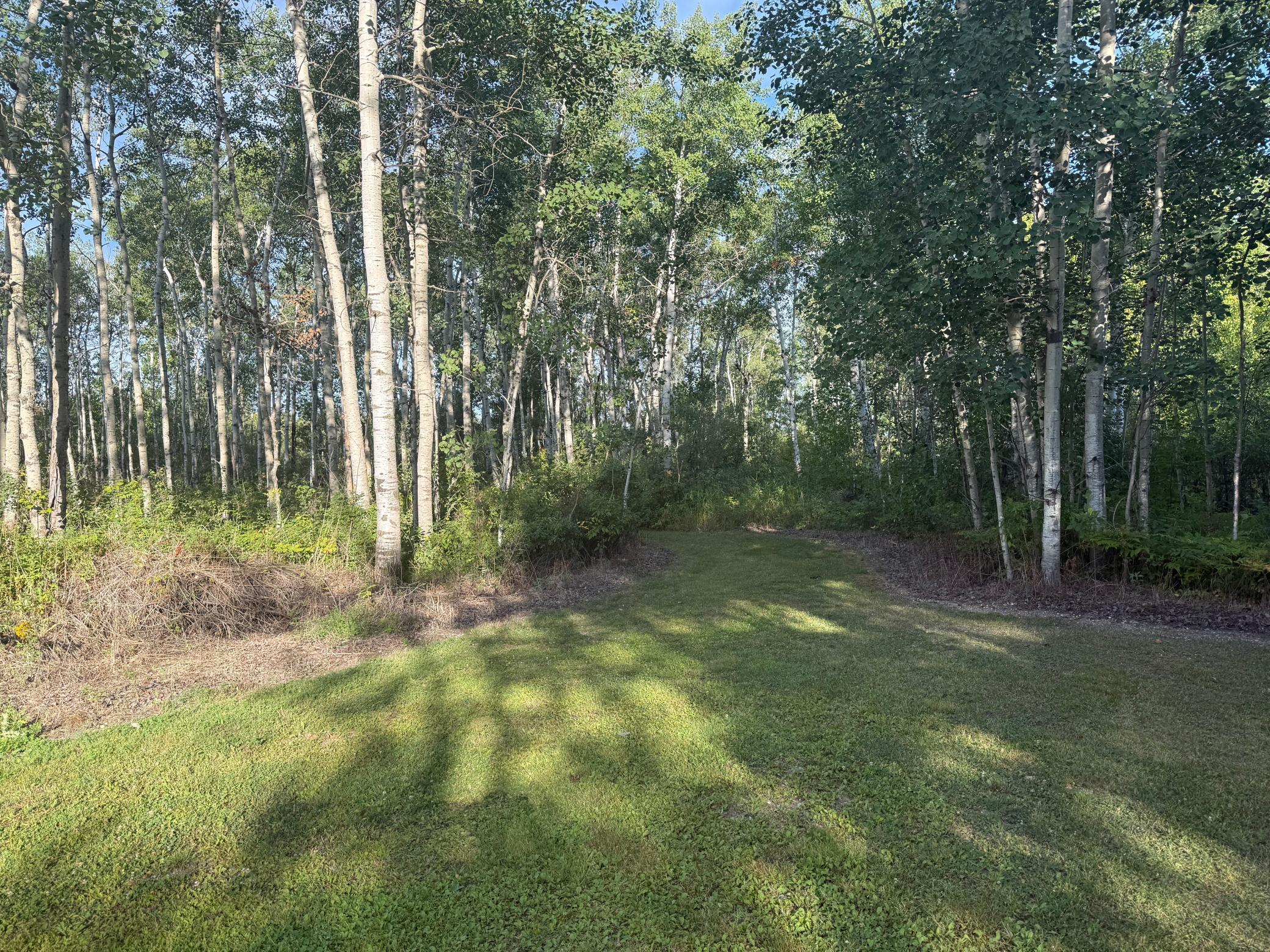 1970 single family home for sale at 24247 County Road 15 in Badger, MN — 3 bed, 1 bath (photo 15 of 18)