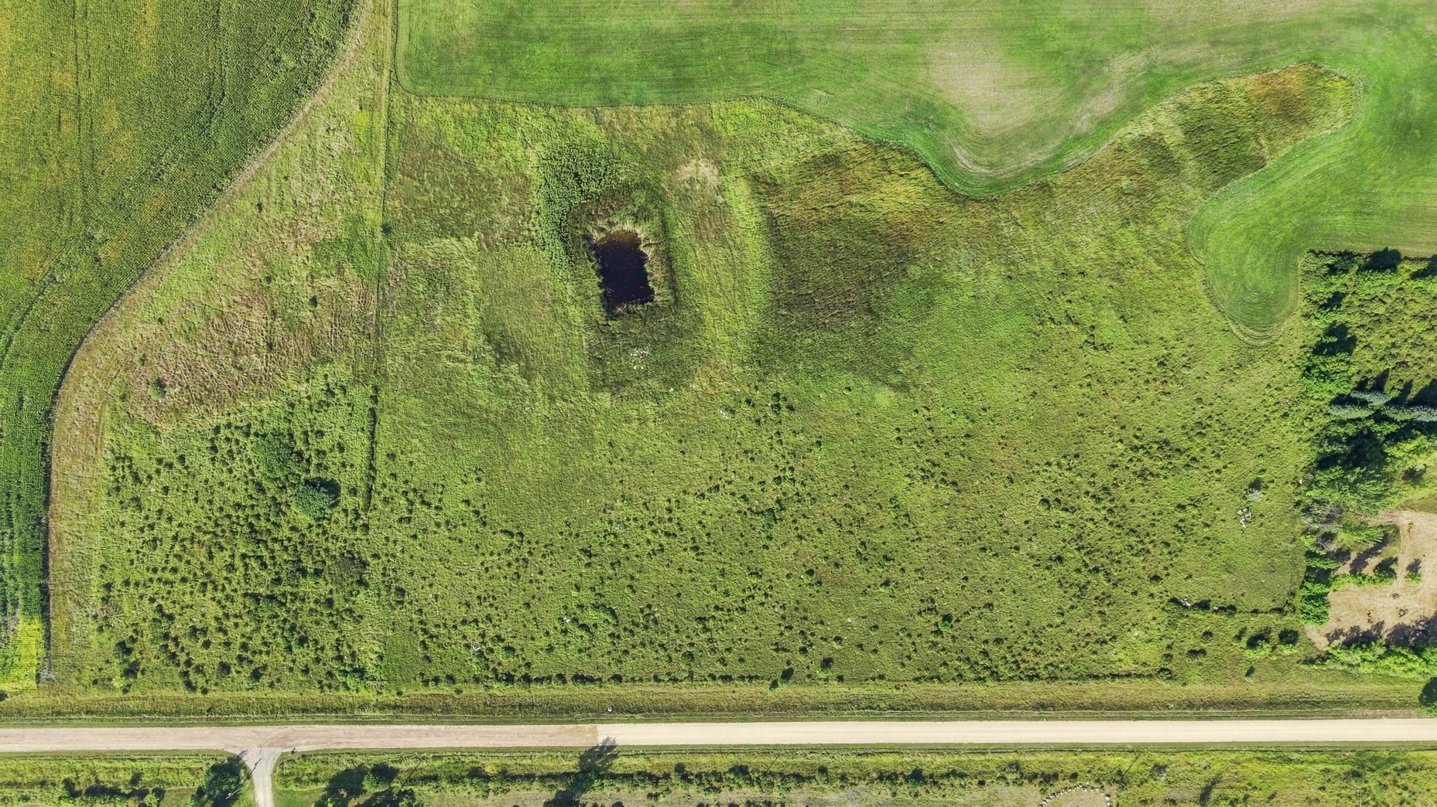 land for sale at 7229 160th Street S in Barnesville, MN (photo 2 of 17)
