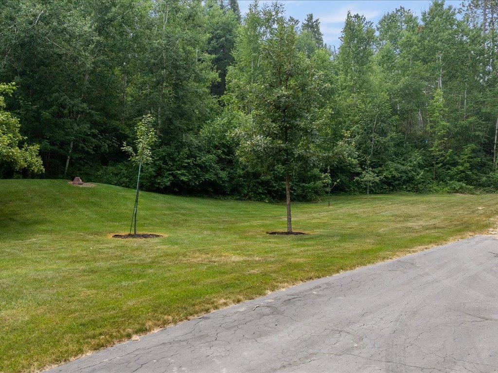 2001 single family home for sale at 16138 Zigmund Drive in Fifty Lakes, MN — 5 bed, 3 bath (photo 26 of 70)