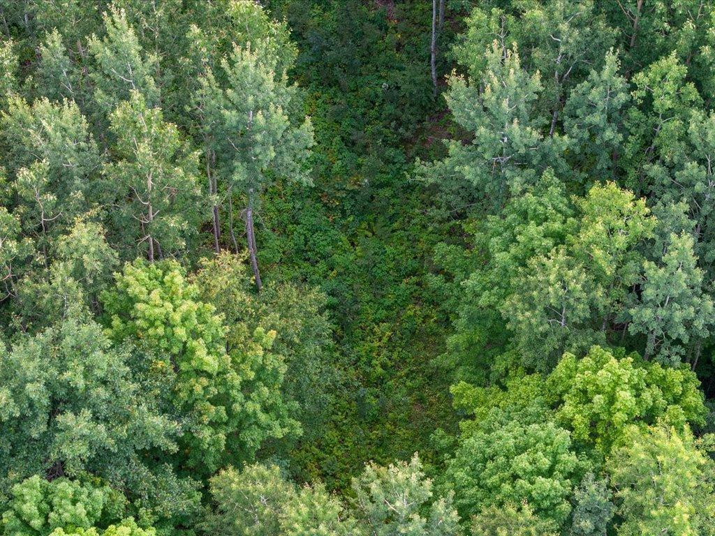 land for sale at Lot 15 & 16 Evening Star Lane in Emily, MN (photo 8 of 20)