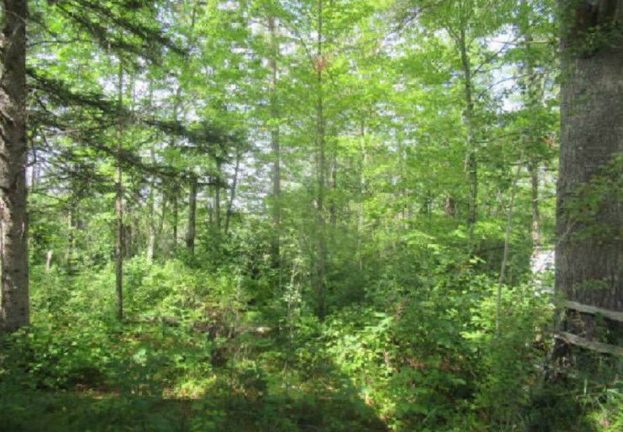 1988 single family home for sale at 40227 County Road 106 in Emily, MN — 0 bed, 0 bath (photo 3 of 11)