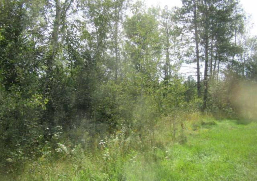 1988 single family home for sale at 40227 County Road 106 in Emily, MN — 0 bed, 0 bath (photo 9 of 11)