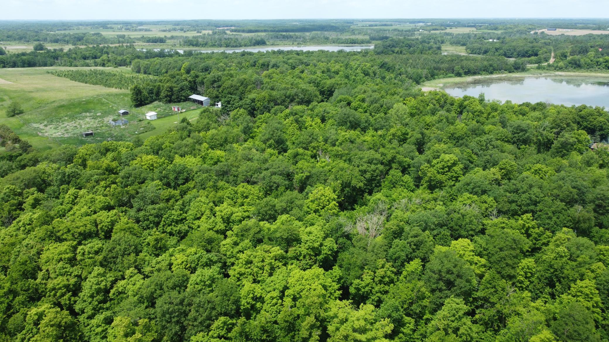 land for sale at TBD 355th Street in Richville, MN