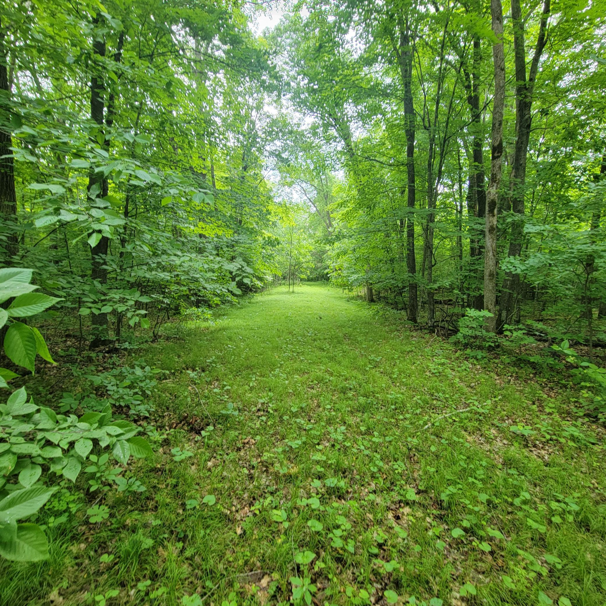 land for sale at TBD 355th Street in Richville, MN (photo 2 of 16)