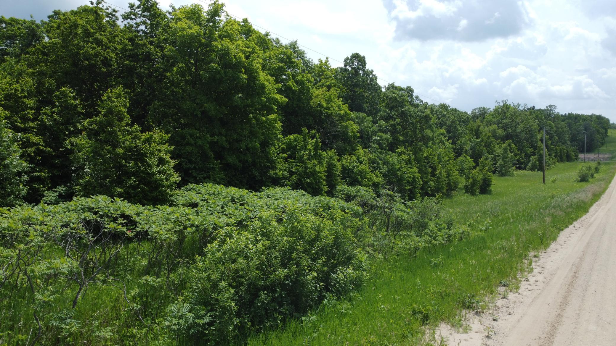 land for sale at TBD 355th Street in Richville, MN (photo 13 of 16)