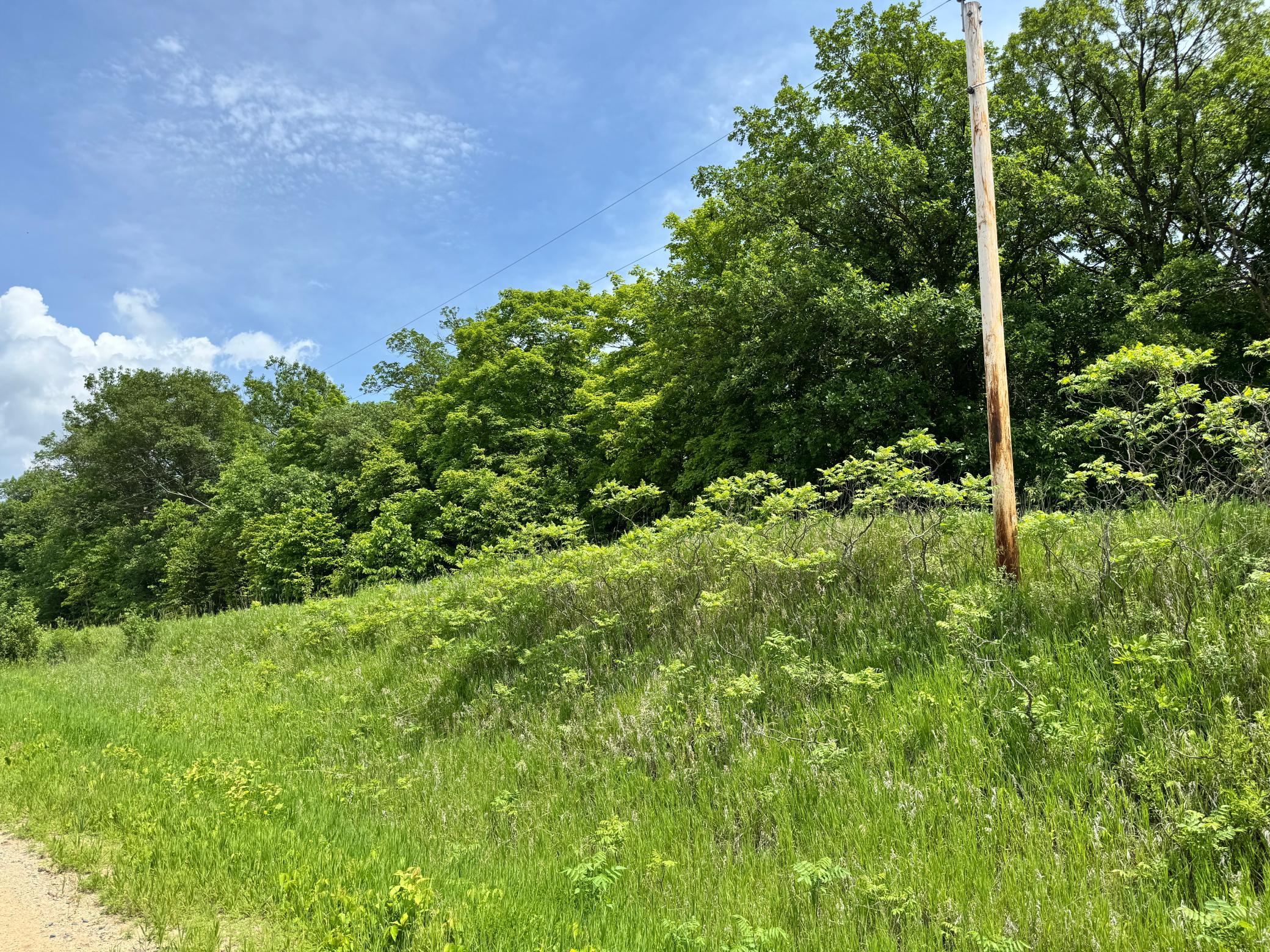 land for sale at TBD 355th Street in Richville, MN (photo 16 of 16)