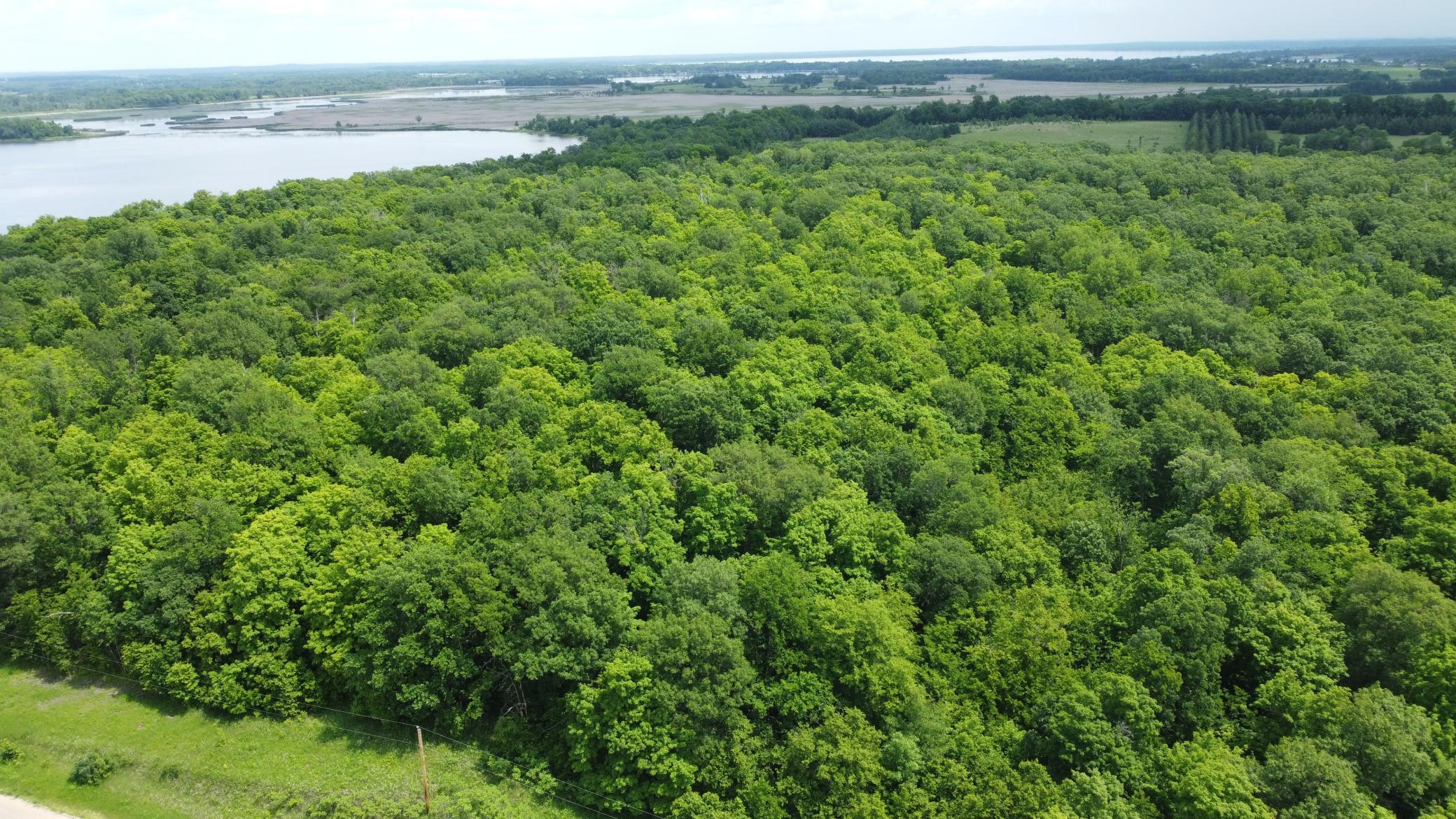 land for sale at TBD 355th Street in Richville, MN (photo 5 of 16)