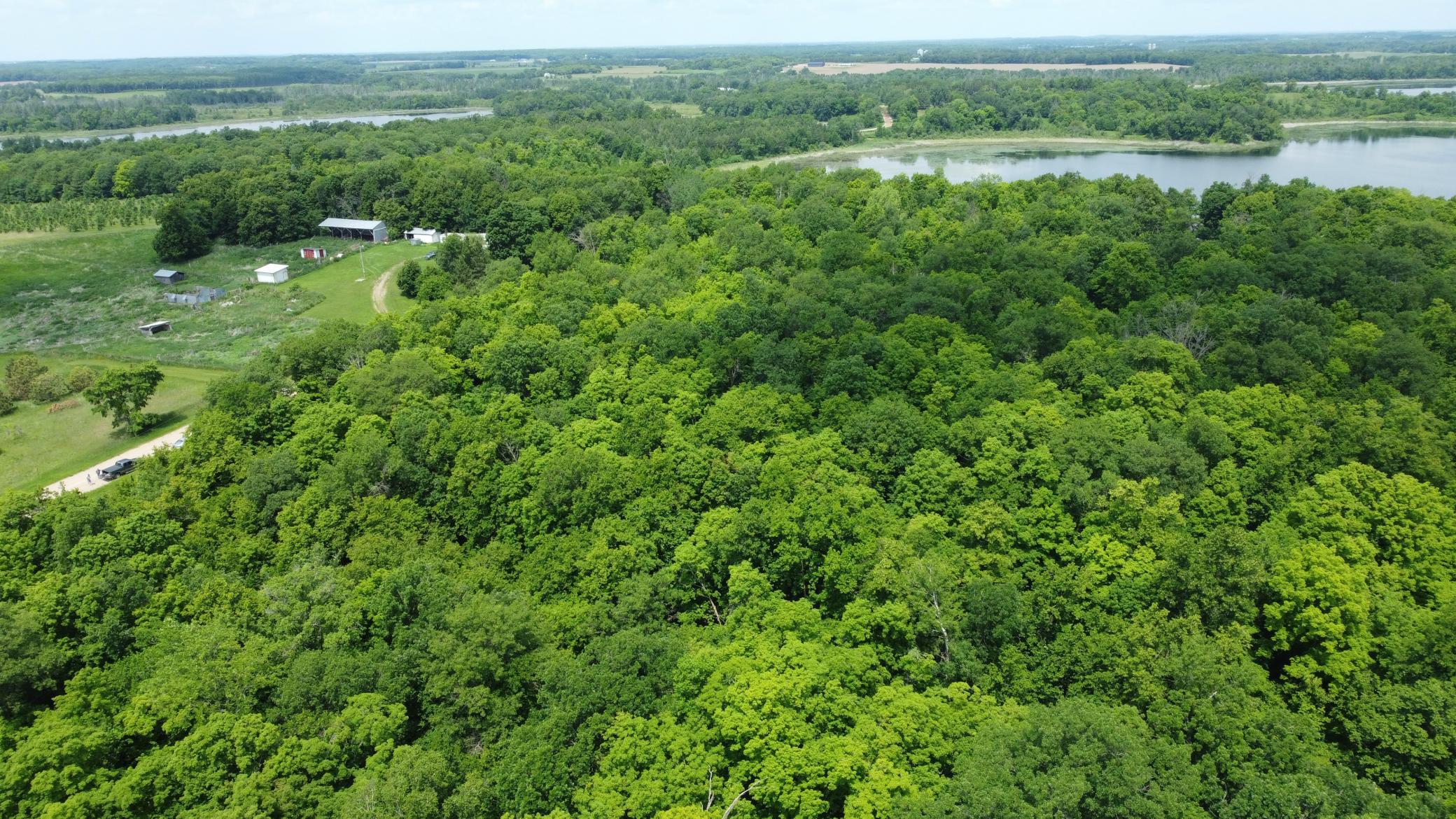 land for sale at TBD 355th Street in Richville, MN (photo 7 of 16)