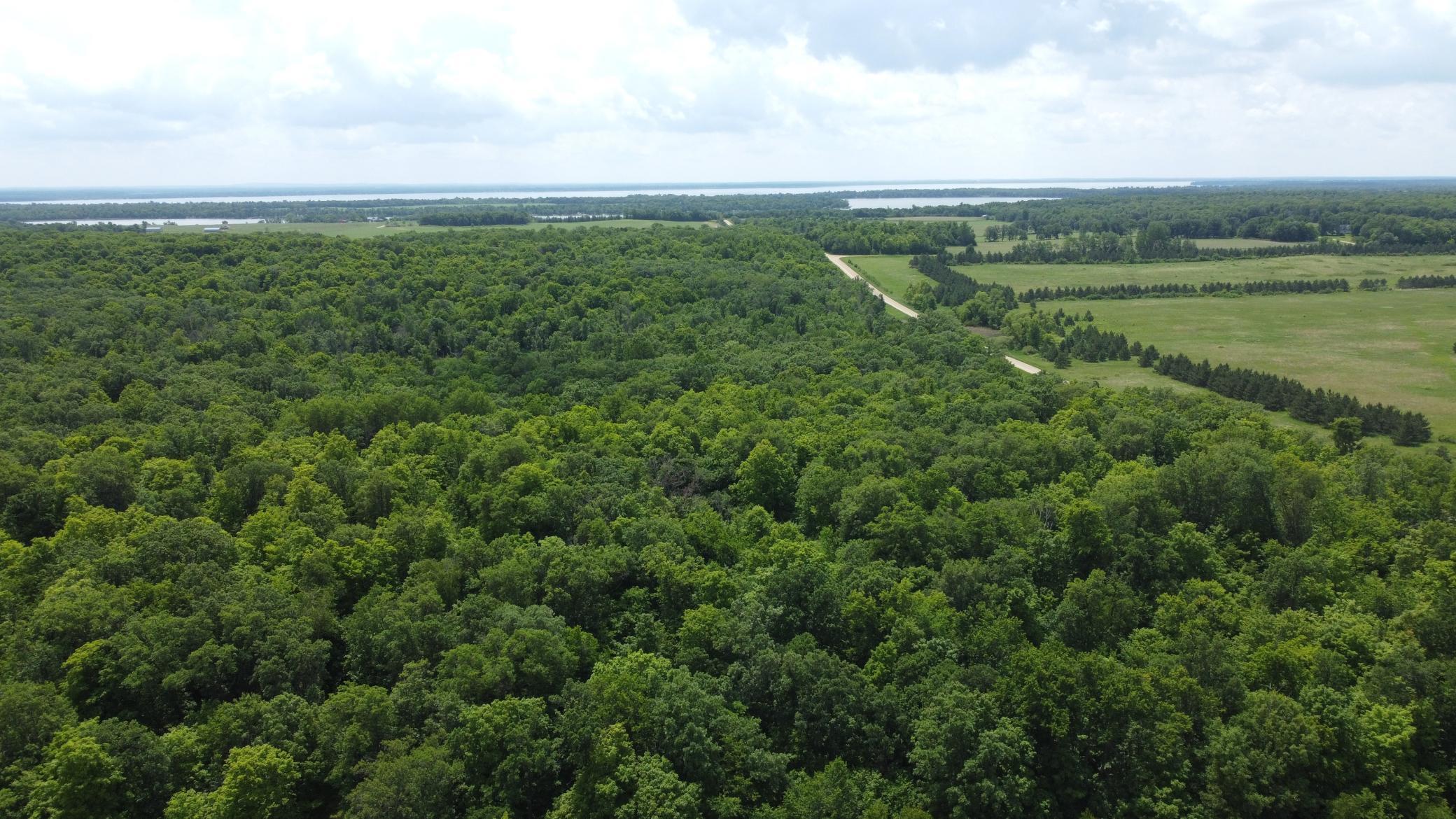 land for sale at TBD 355th Street in Richville, MN (photo 9 of 16)
