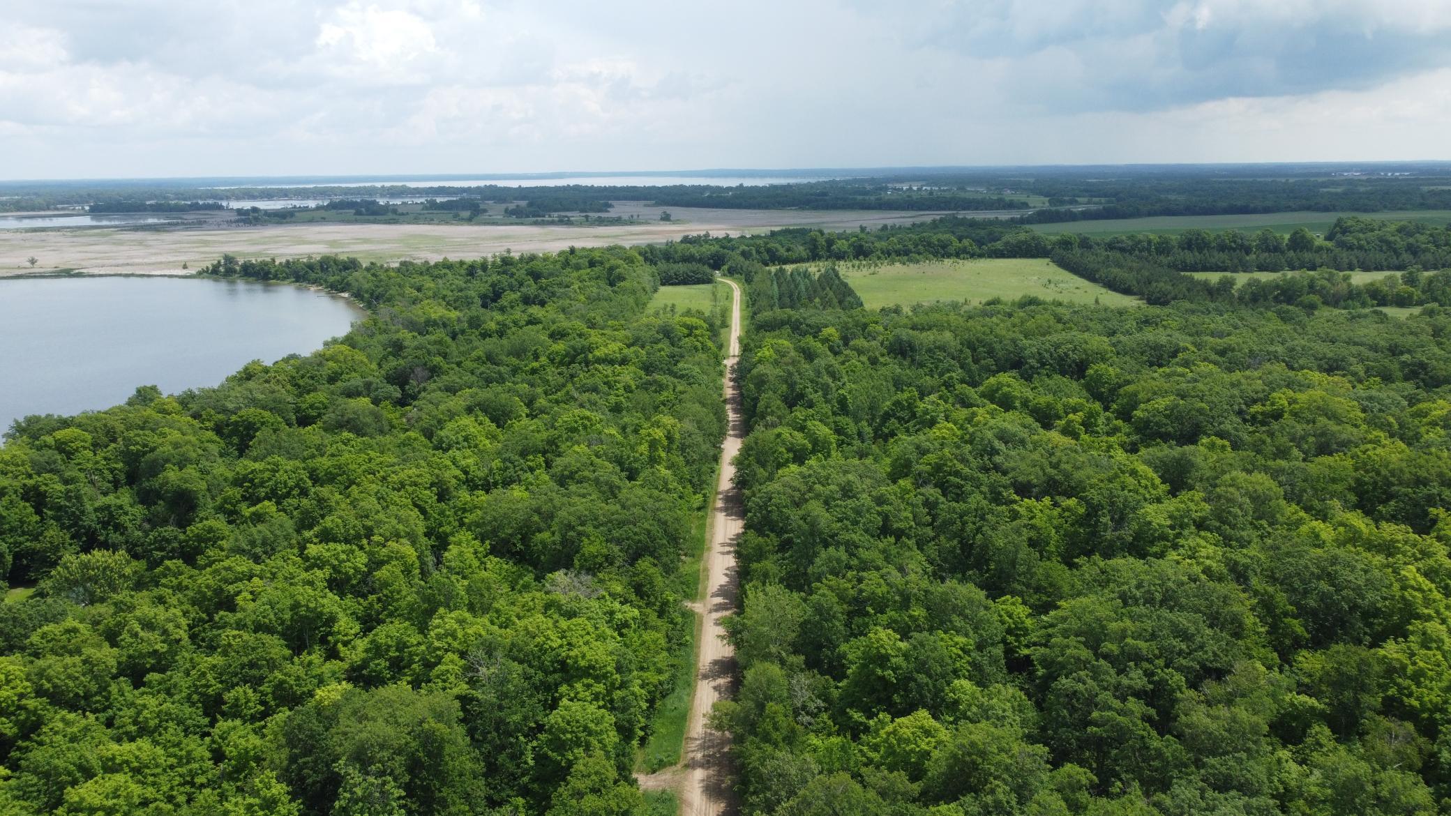 land for sale at TBD 355th Street in Richville, MN (photo 10 of 16)