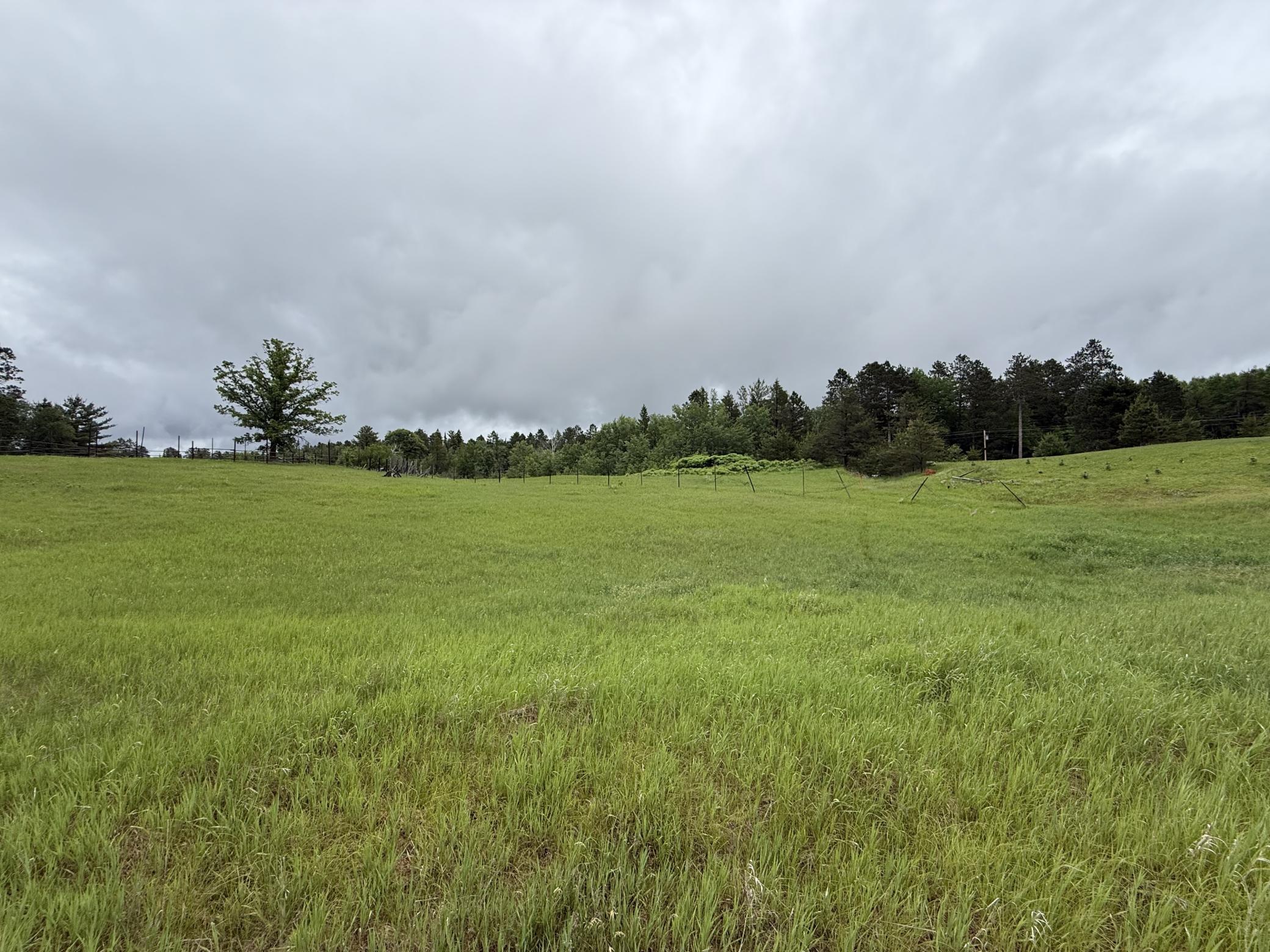 2026 single family home for sale at TBD County Road 134 in Pine River, MN — 3 bed, 2 bath (photo 11 of 25)