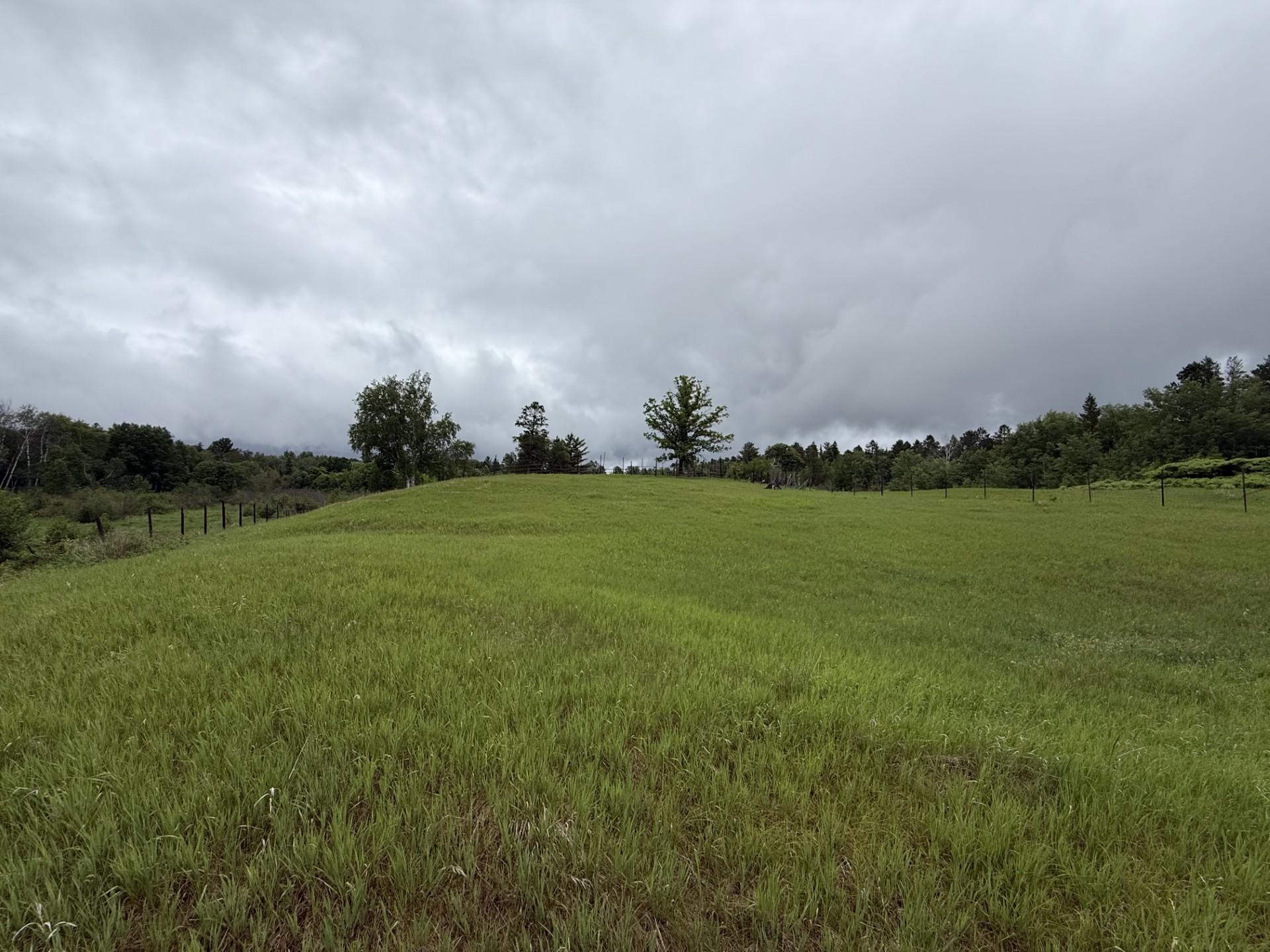 2026 single family home for sale at TBD County Road 134 in Pine River, MN — 3 bed, 2 bath (photo 12 of 25)