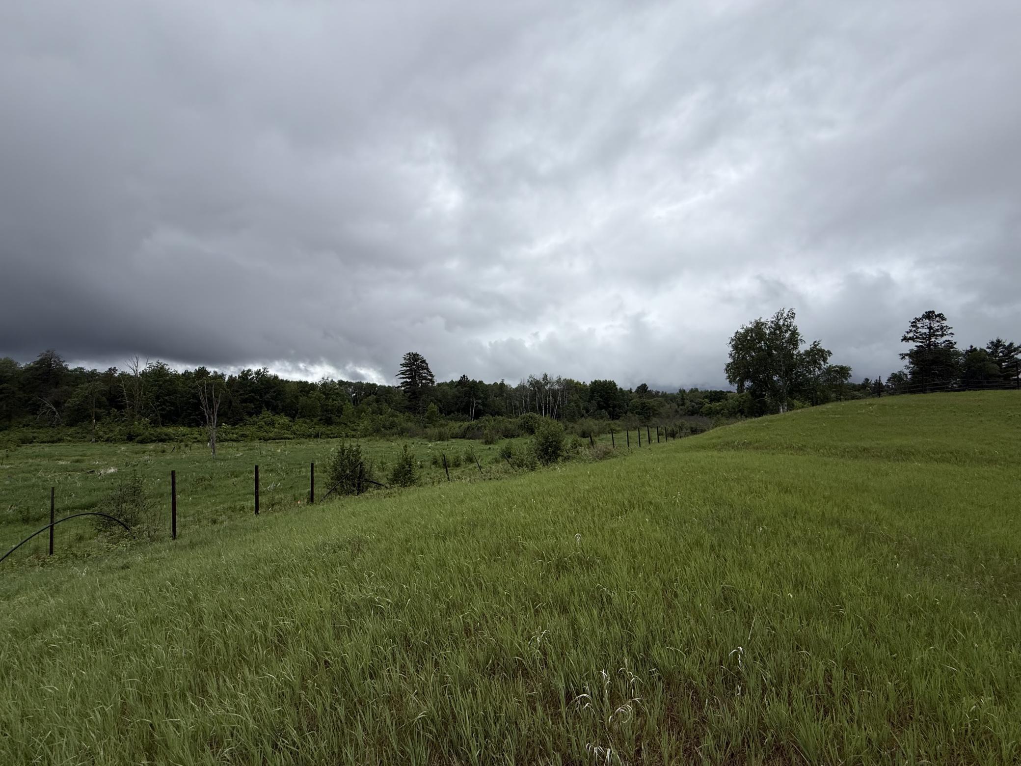 2026 single family home for sale at TBD County Road 134 in Pine River, MN — 3 bed, 2 bath (photo 13 of 25)