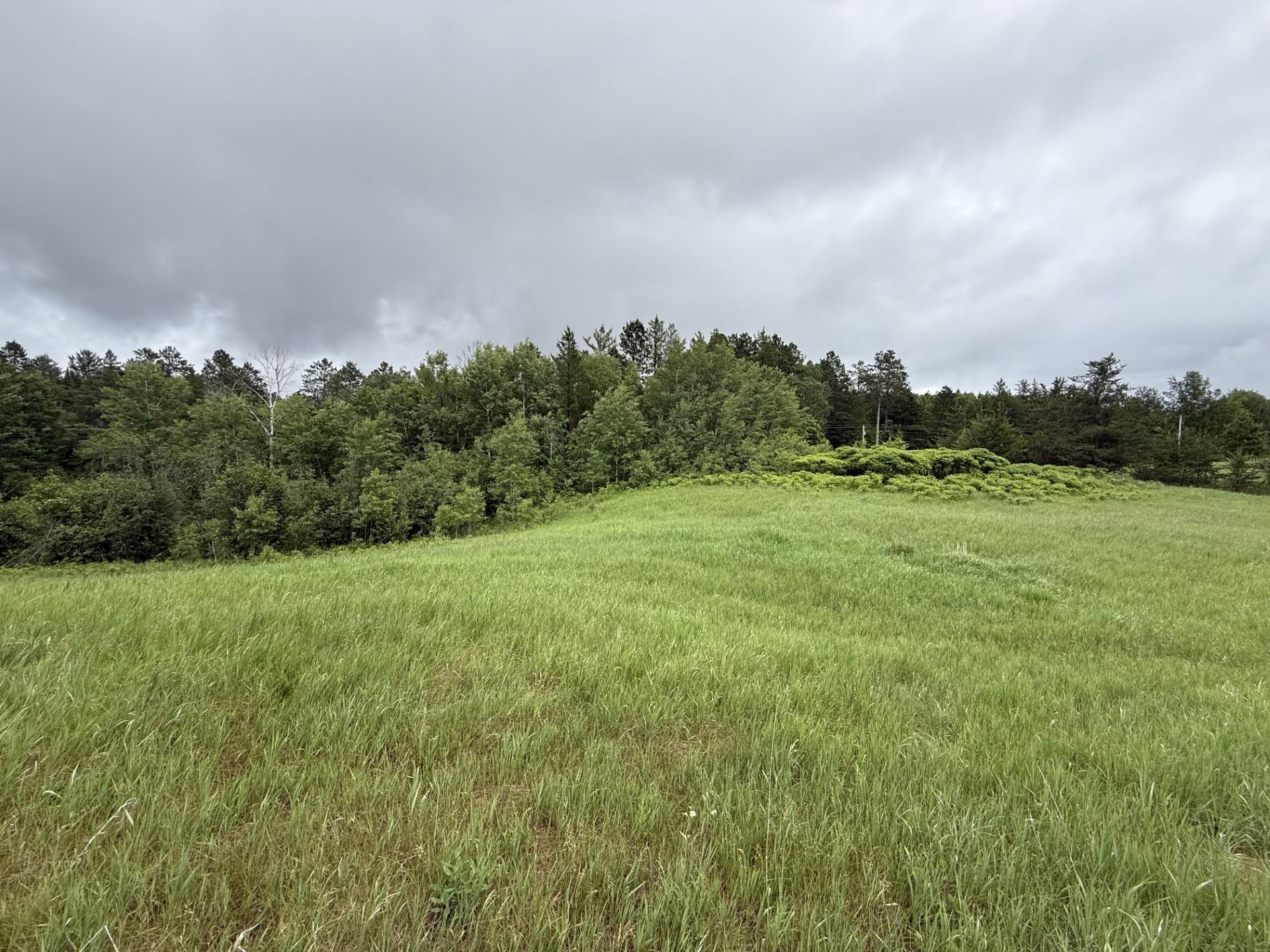 2026 single family home for sale at TBD County Road 134 in Pine River, MN — 3 bed, 2 bath (photo 7 of 25)