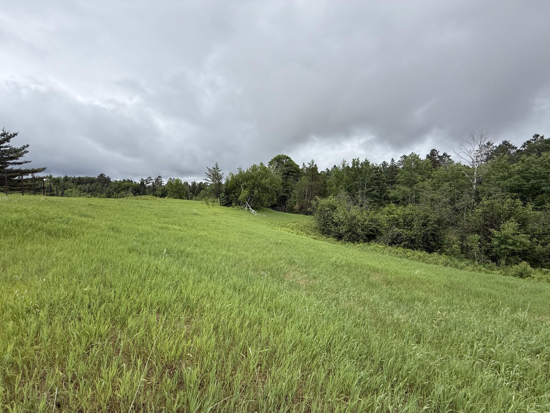 2026 single family home for sale at TBD County Road 134 in Pine River, MN — 3 bed, 2 bath (photo 8 of 25)
