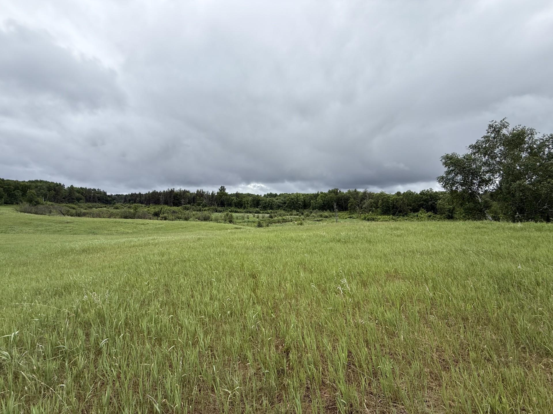 2026 single family home for sale at TBD County Road 134 in Pine River, MN — 3 bed, 2 bath (photo 9 of 25)