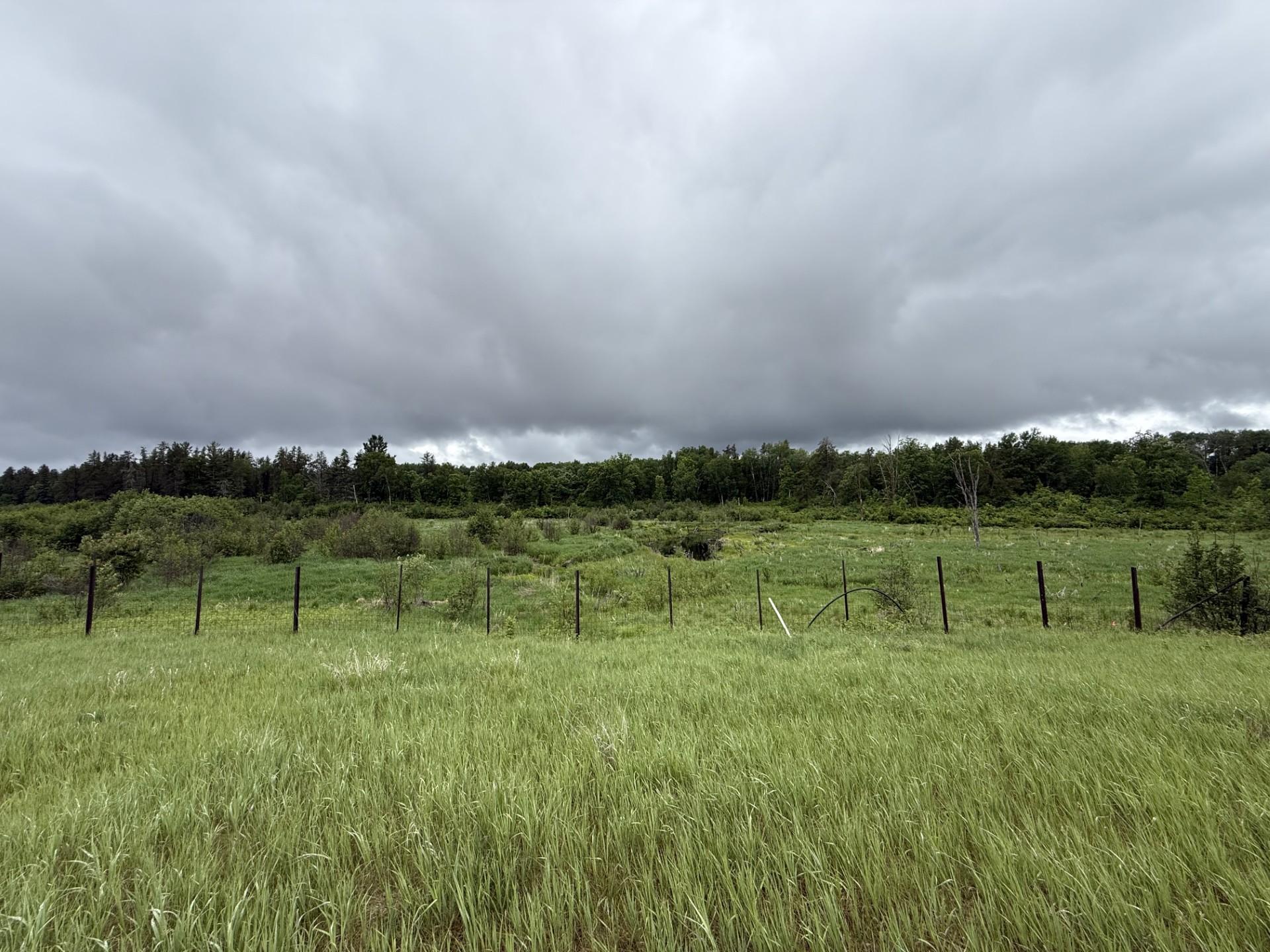 2026 single family home for sale at TBD County Road 134 in Pine River, MN — 3 bed, 2 bath (photo 10 of 25)