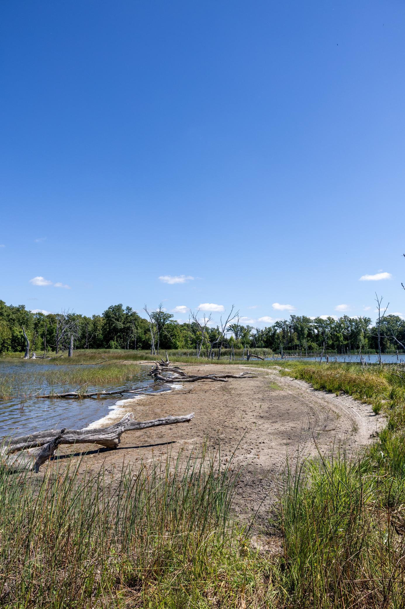 1970 land for sale at 15977 State Highway 34 in Pelican Rapids, MN (photo 14 of 29)