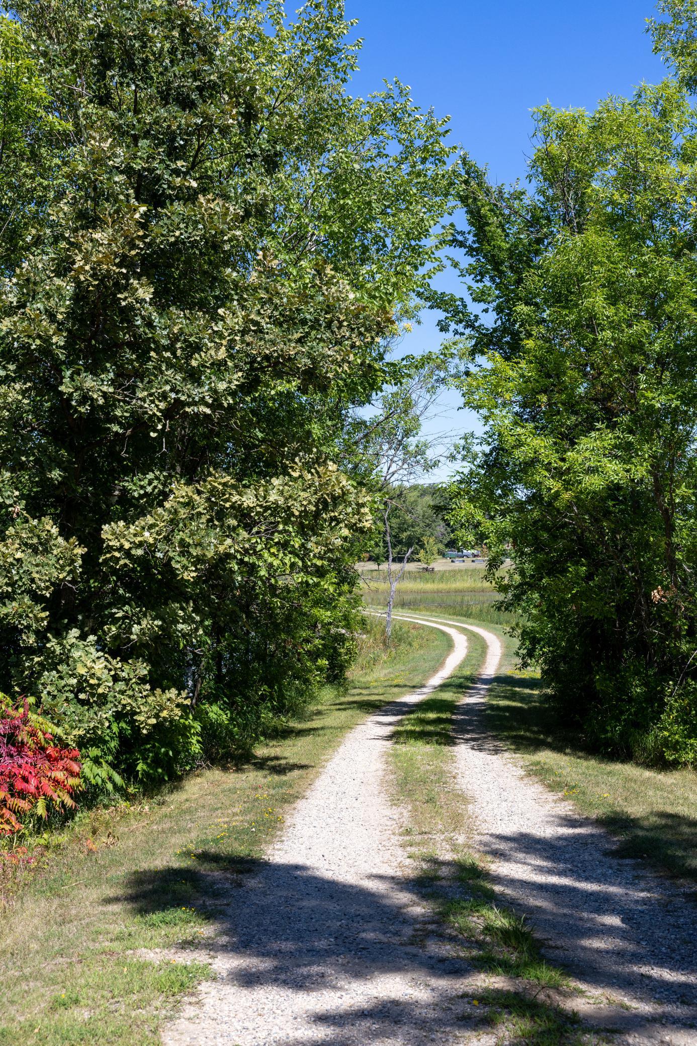 1970 land for sale at 15977 State Highway 34 in Pelican Rapids, MN (photo 6 of 29)