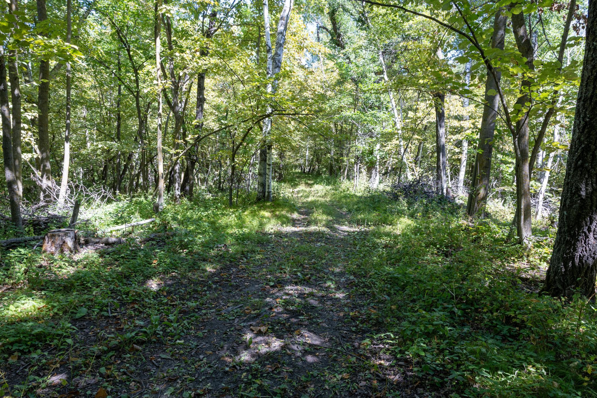 1970 land for sale at 15977 State Highway 34 in Pelican Rapids, MN (photo 7 of 29)