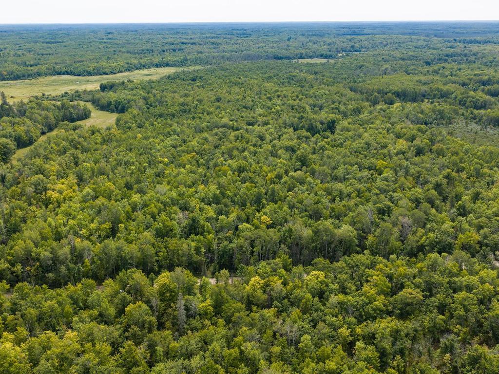 land for sale at TBD 150th in McGrath, MN